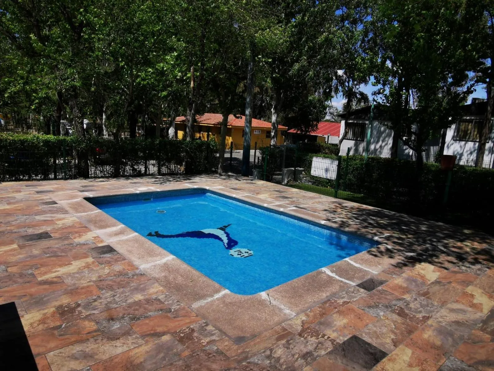 Swimming pool in Bungalows Alpha