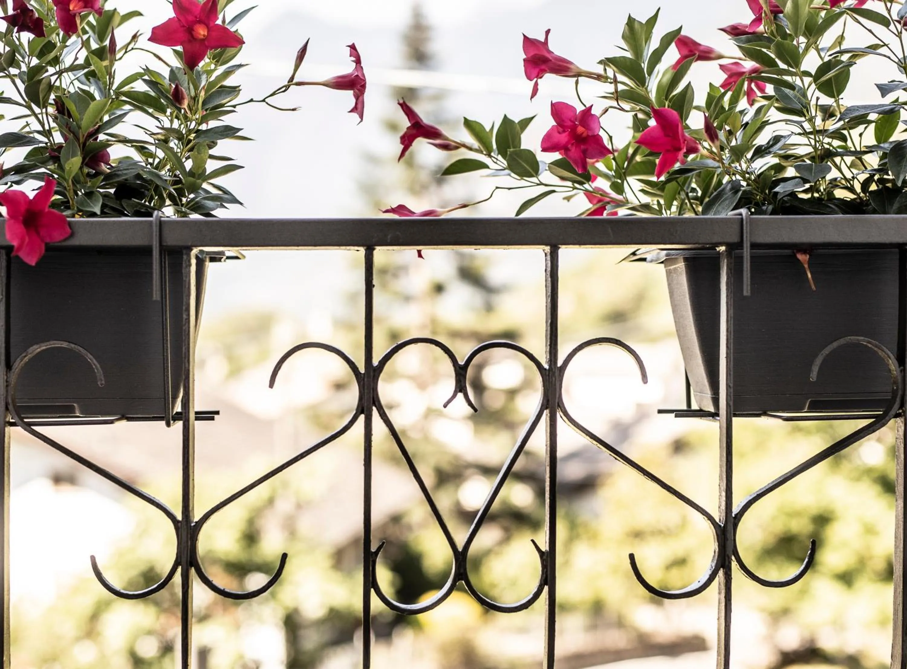 Balcony/Terrace in Casa Pasini-Foresteria