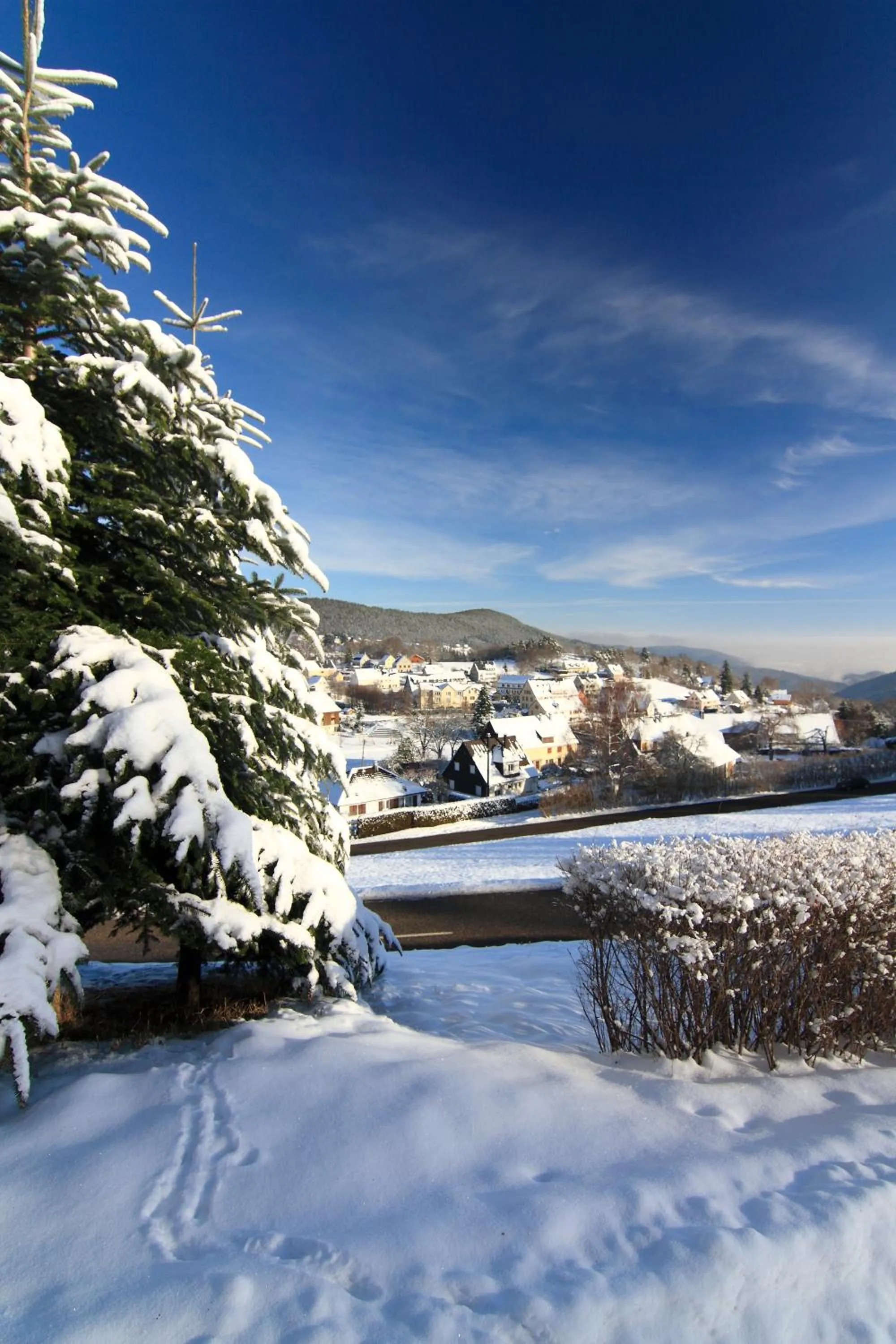 Off site in Hôtel Restaurant et Spa Au Tilleul