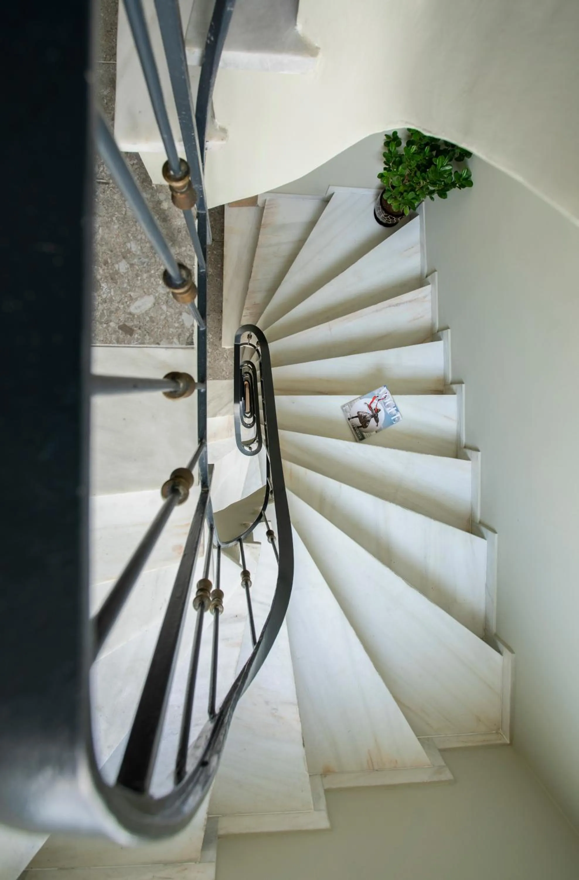 Other in PAME Paradiso