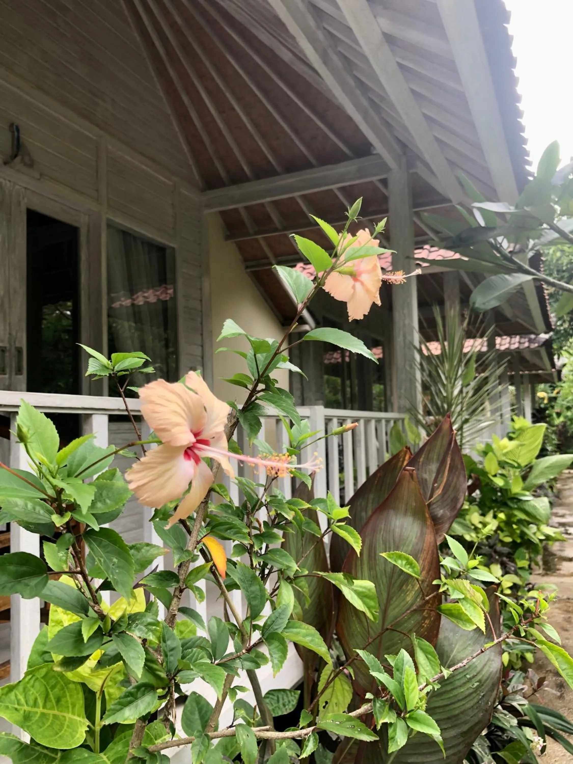 View (from property/room) in The Lucky Cottage