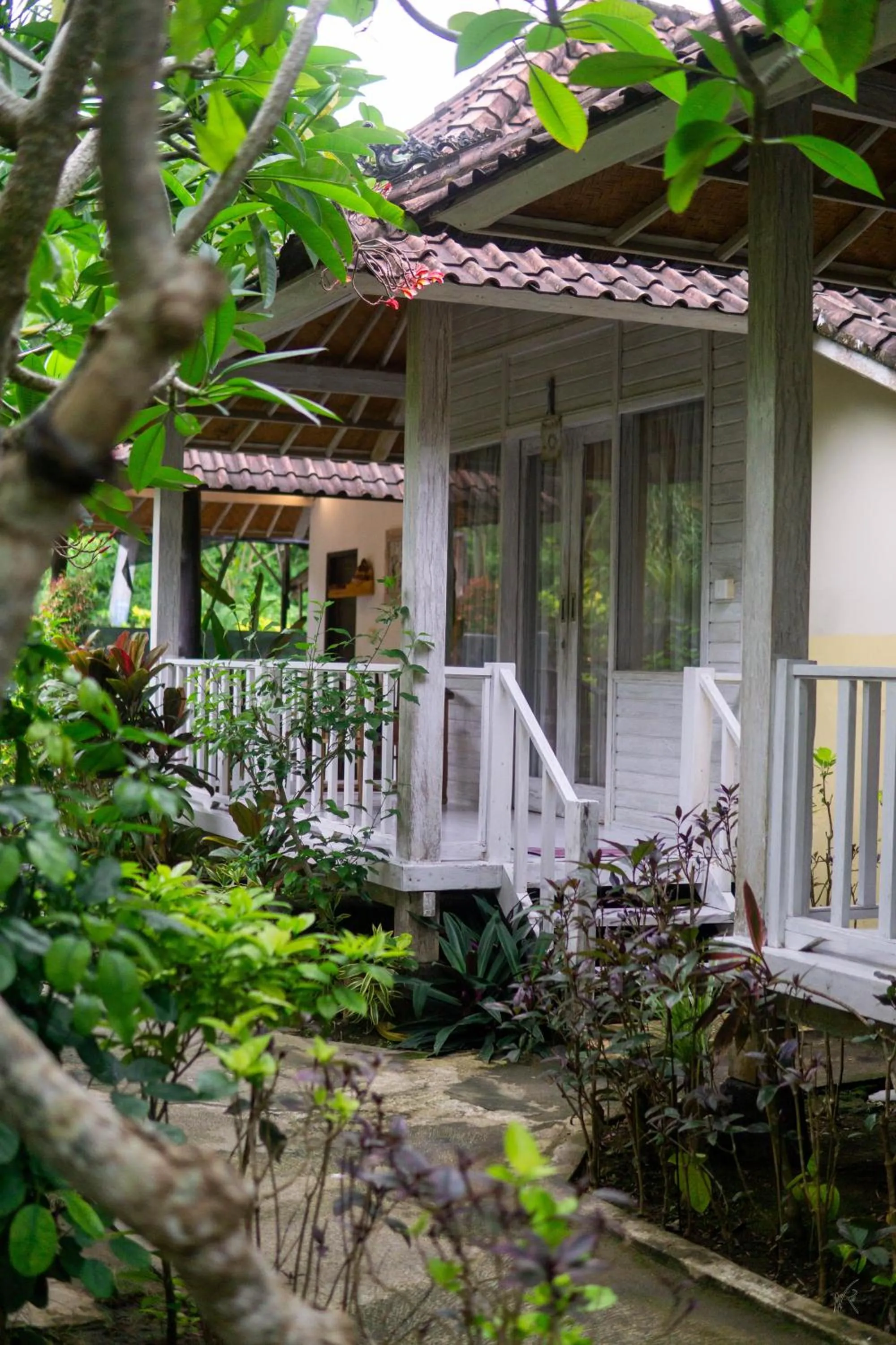 Property building in The Lucky Cottage
