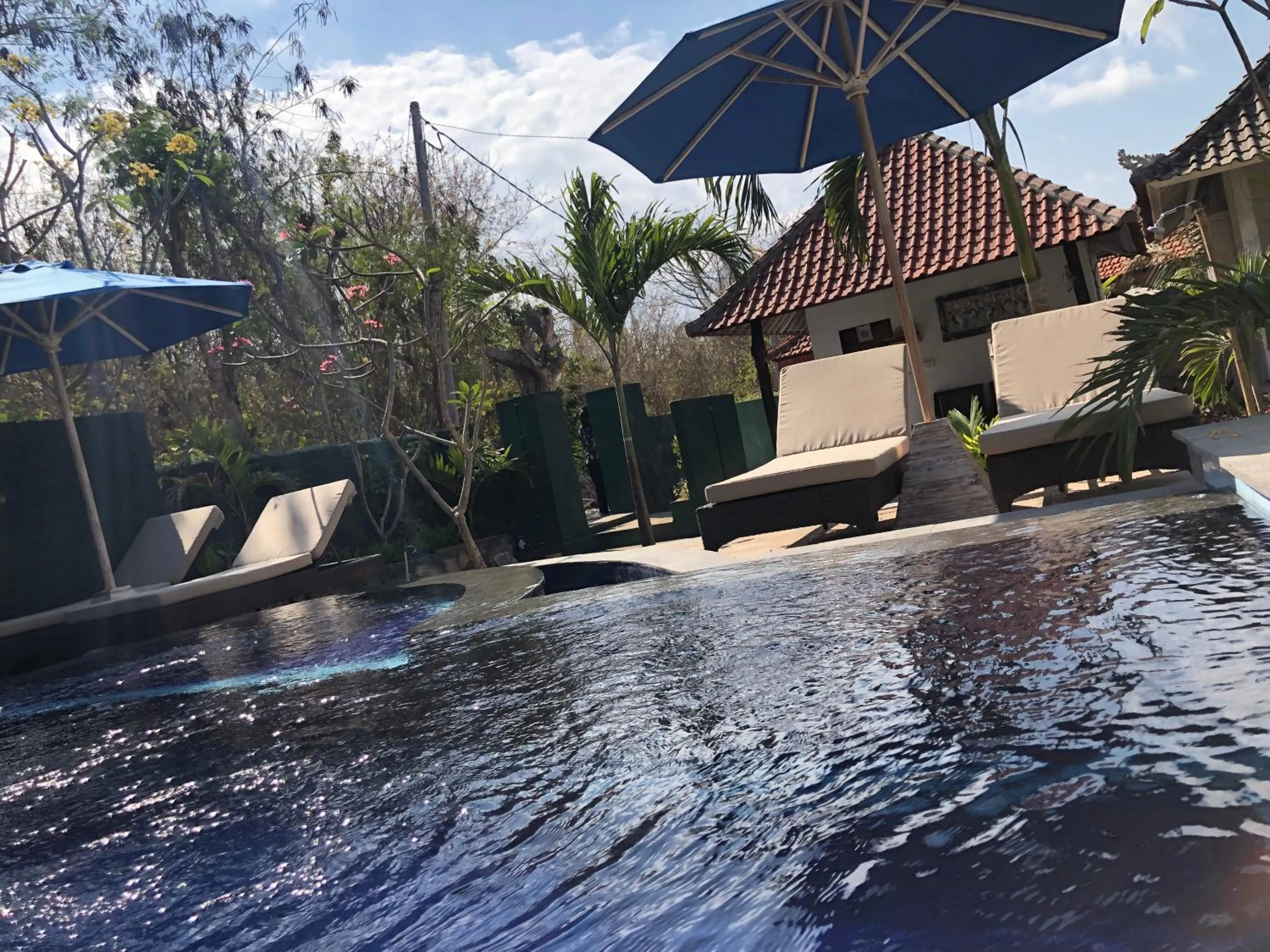  in The Lucky Cottage