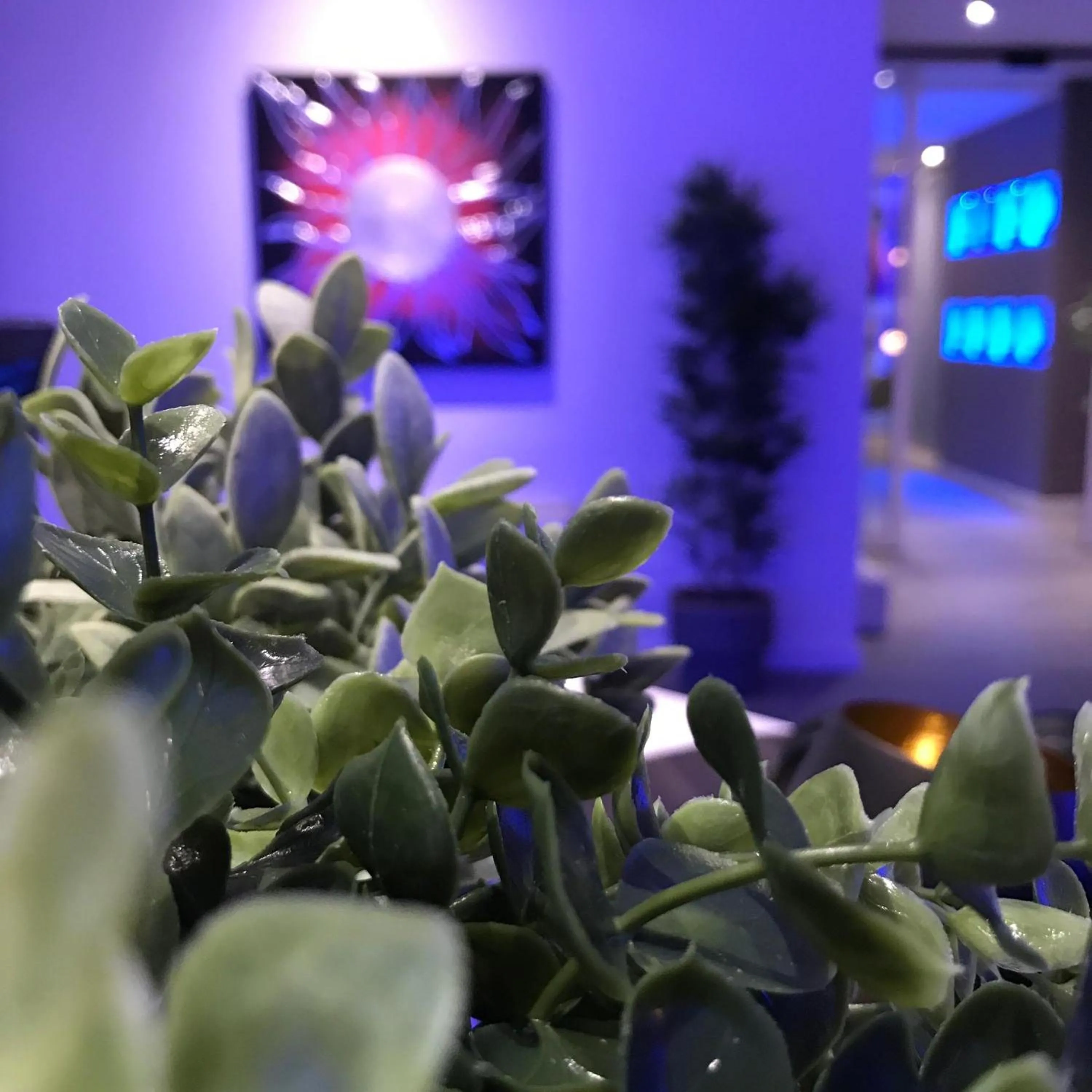 Decorative detail in NovaHotel