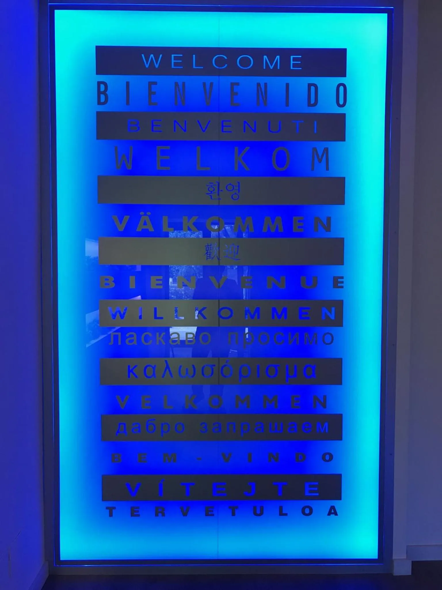 Decorative detail in NovaHotel