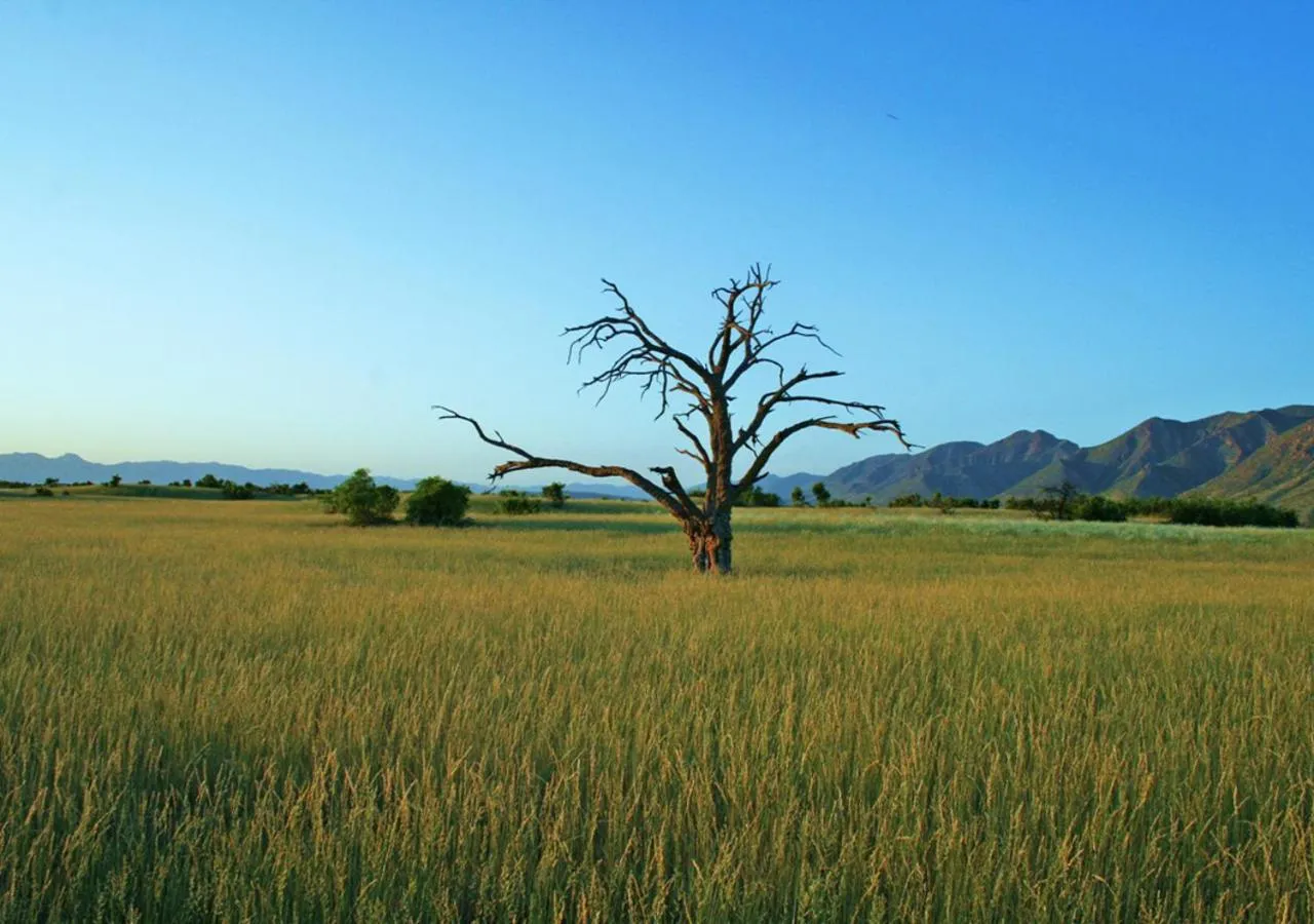 Natural landscape in Khowarib Lodge