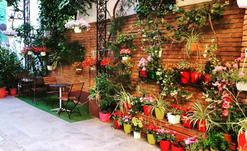 Garden in Hotel Livia