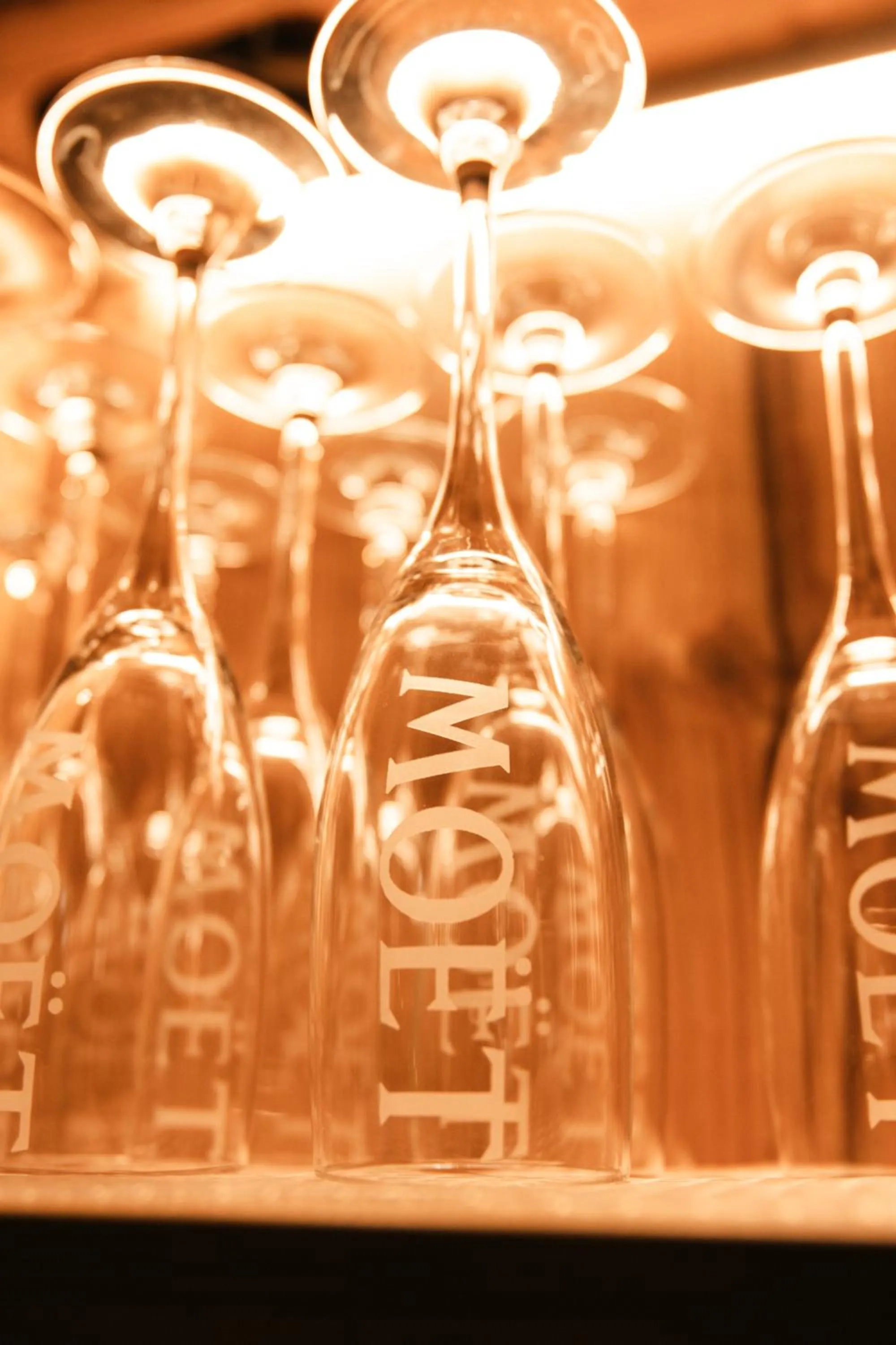 Food and drinks in Hotel Künstleralm