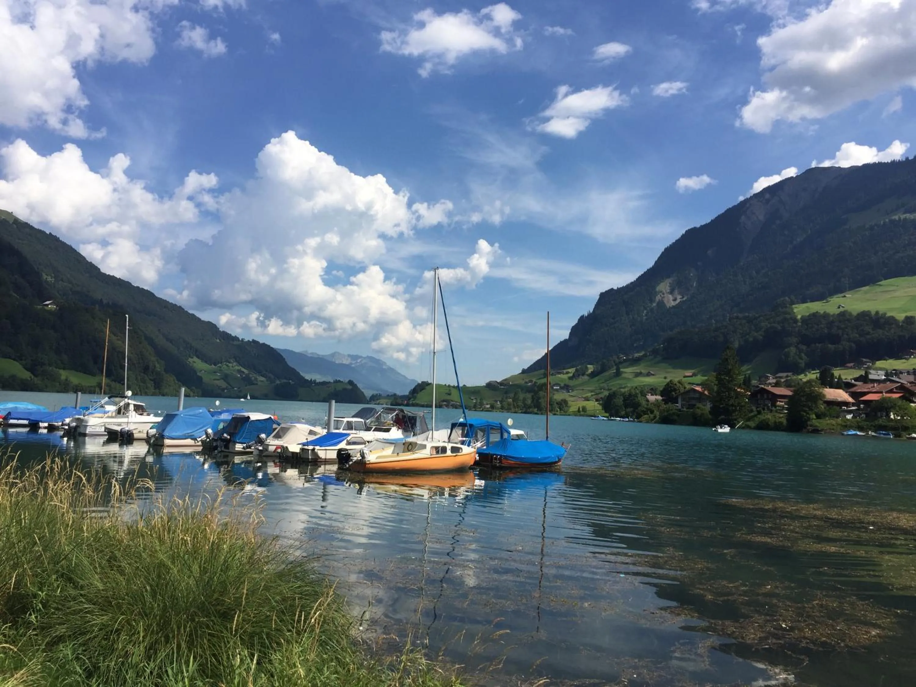 Natural landscape in Emma's B&B - Self Check-in Hotel
