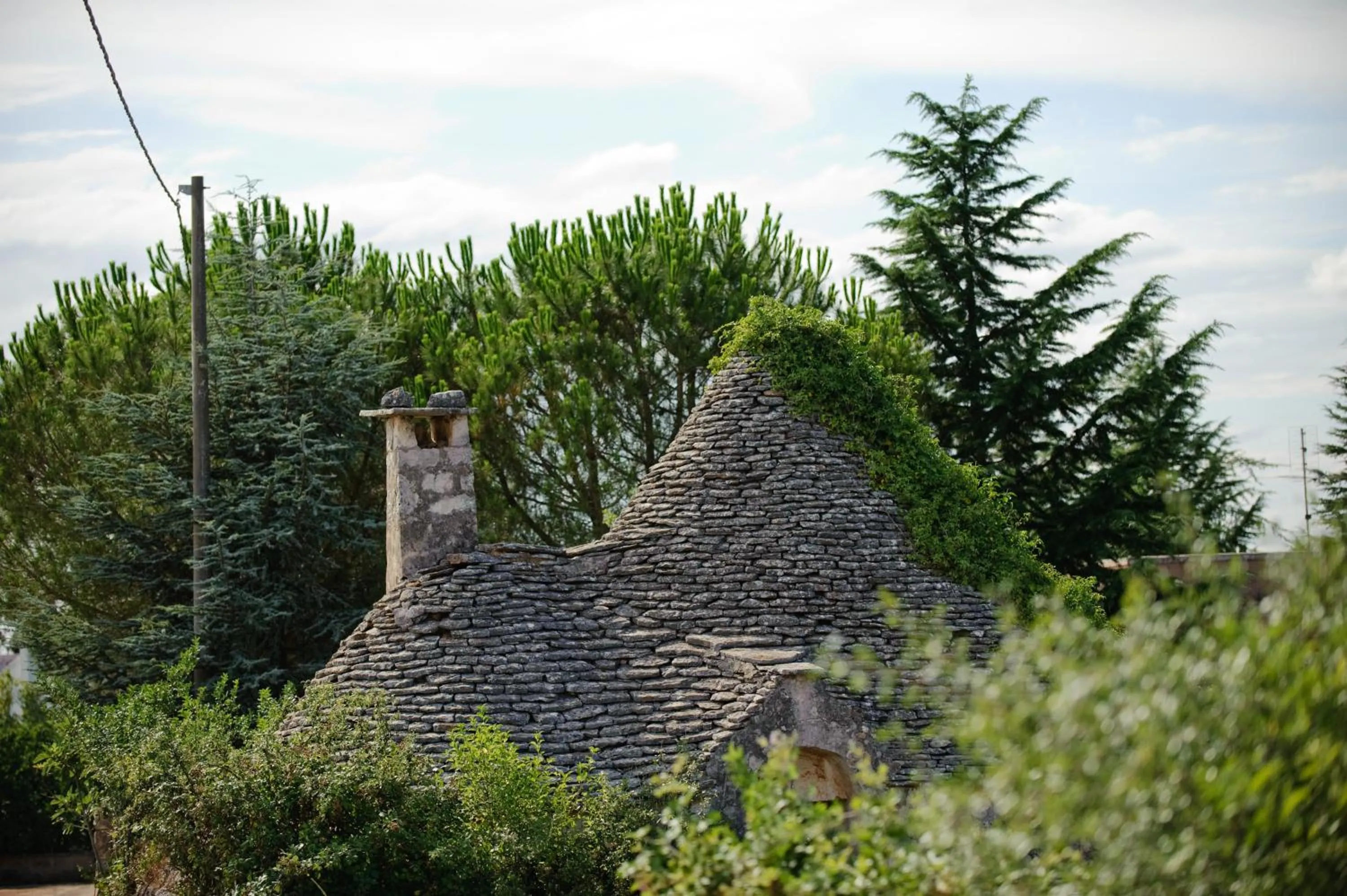 View (from property/room) in Il Viottolo