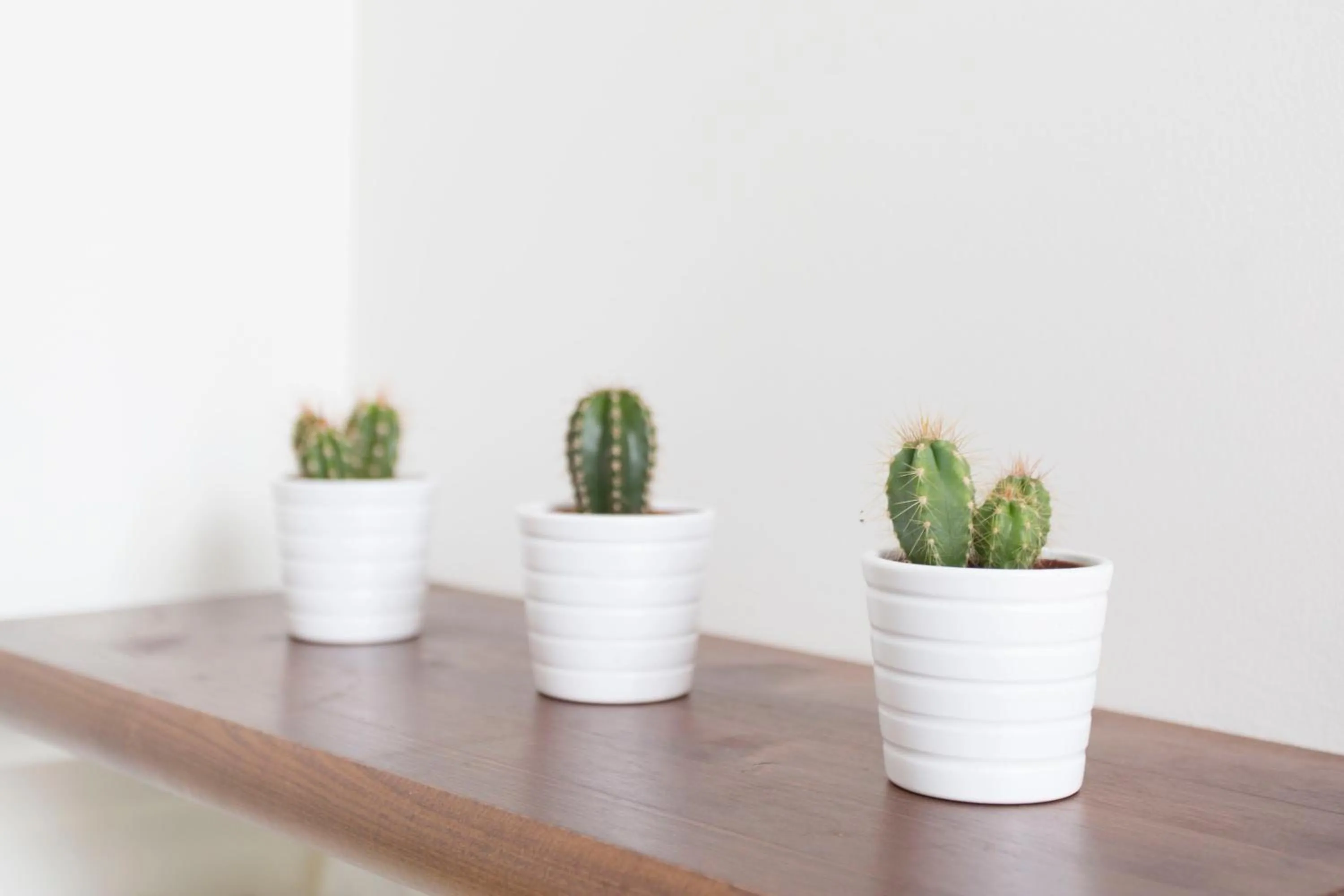 Decorative detail in Il Viottolo