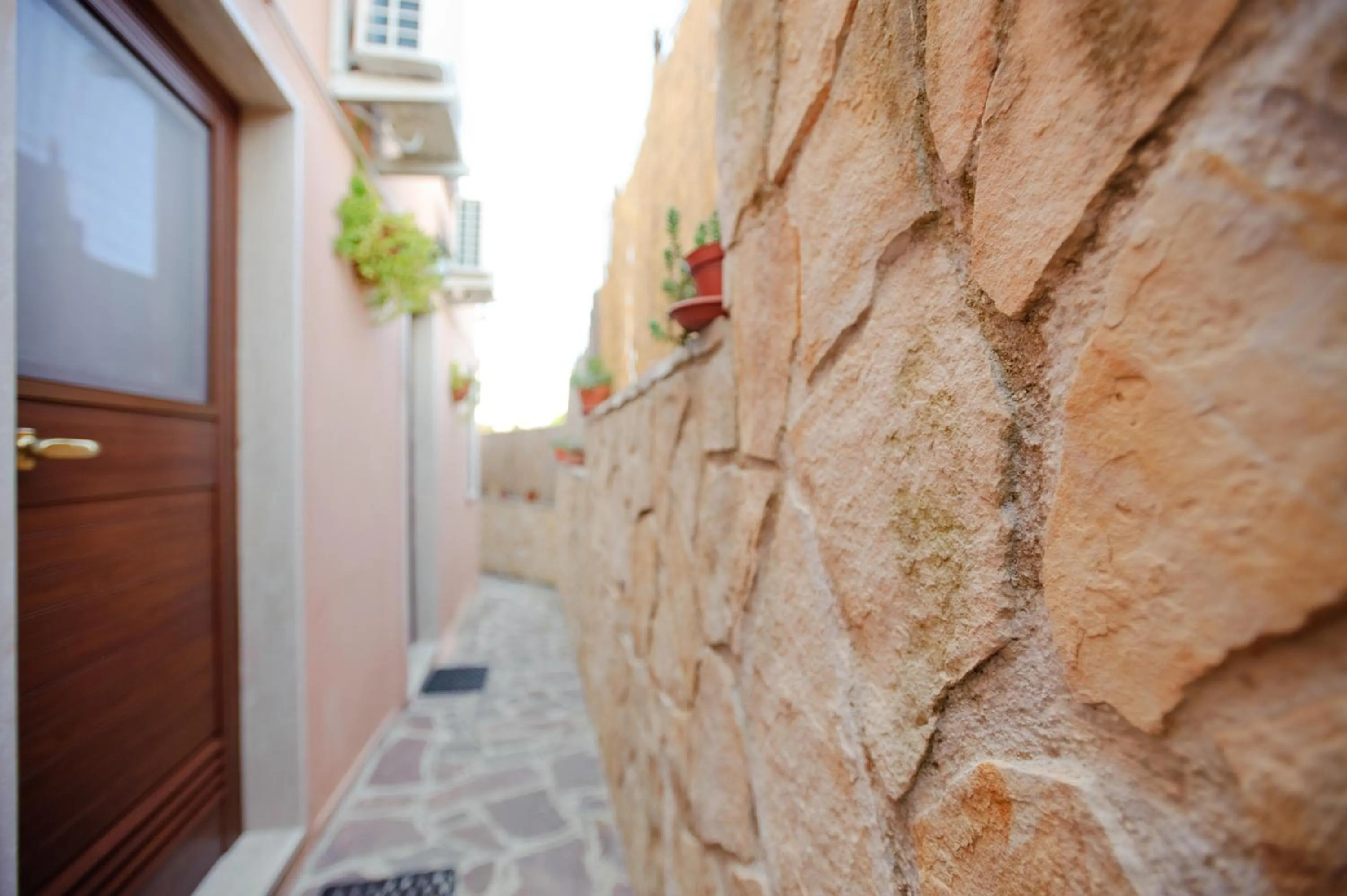 Facade/entrance in Il Viottolo
