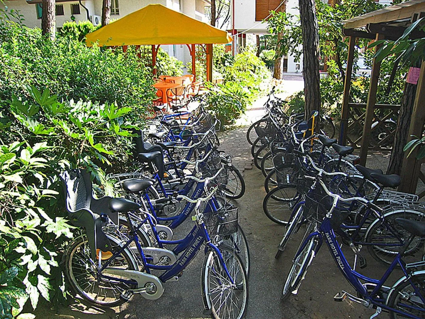 Park Hotel Pineta & Dependance Suite