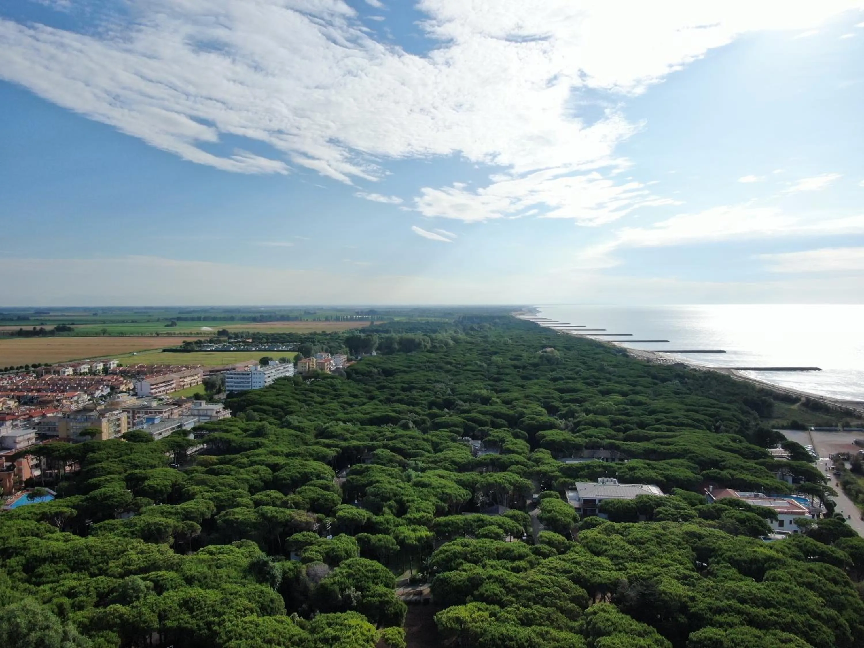 Park Hotel Pineta & Dependance Suite