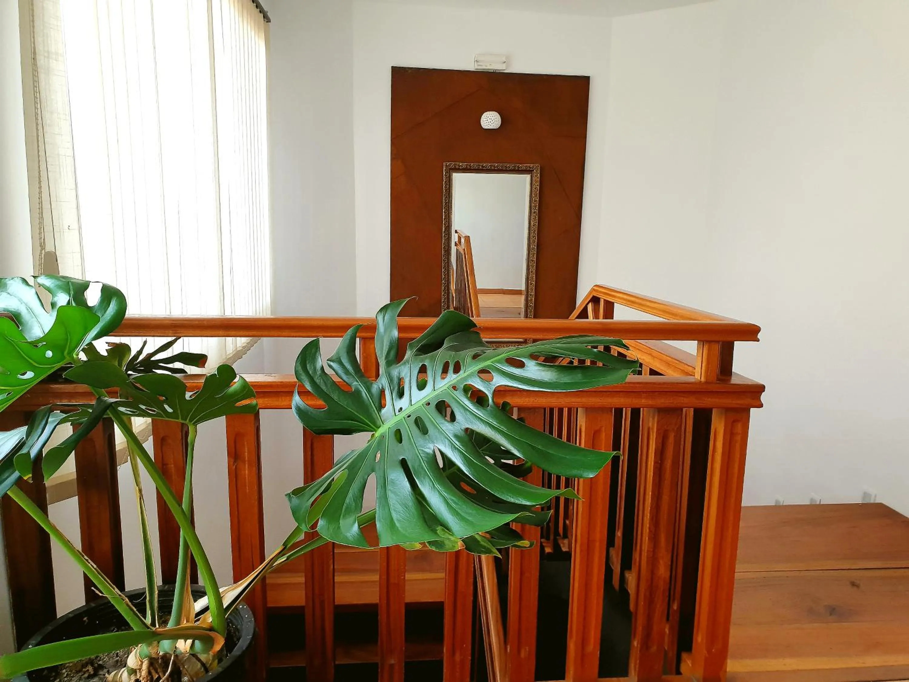 El Rincón de la ESPE