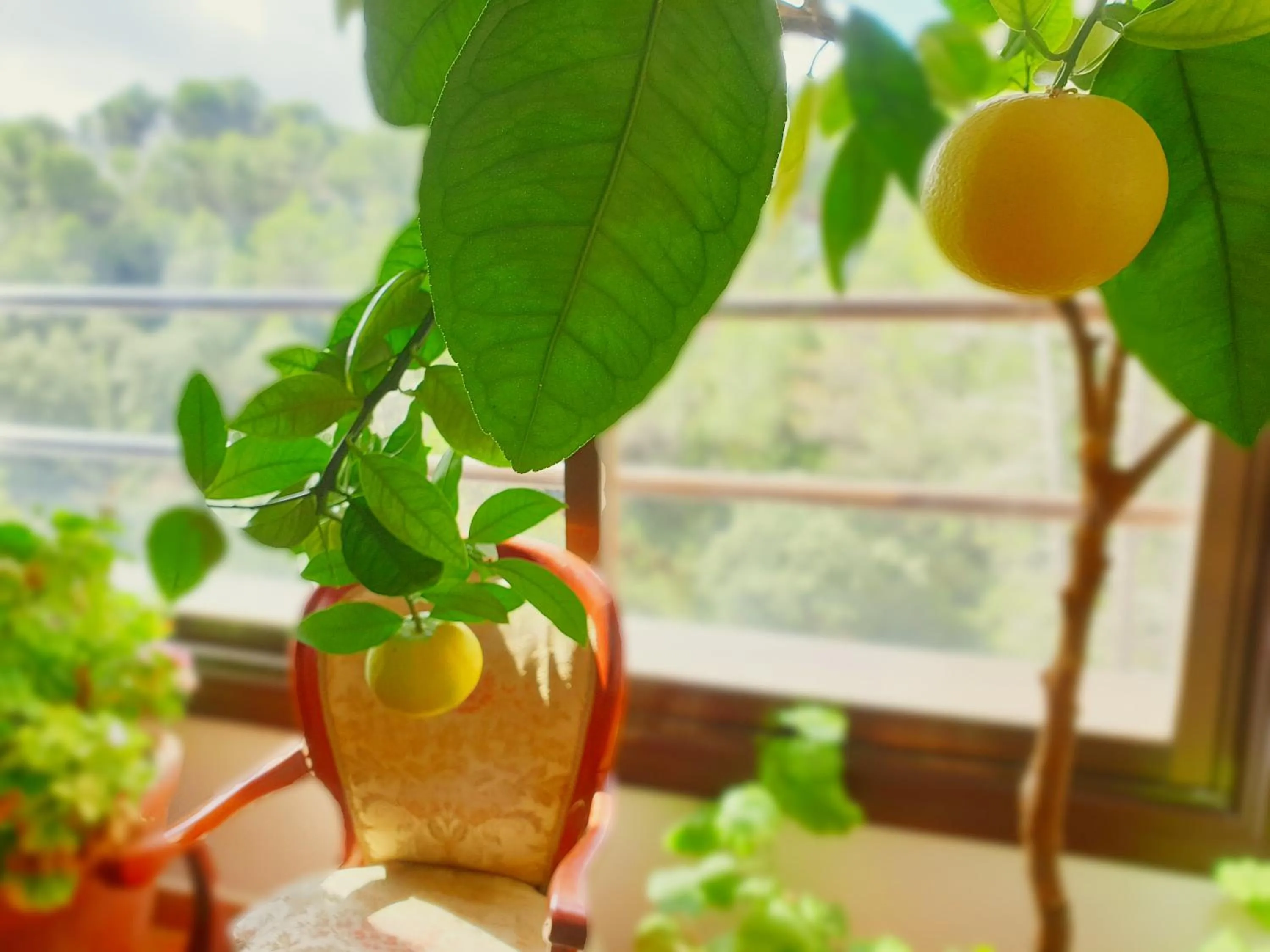 Living room in El Rincón de la ESPE