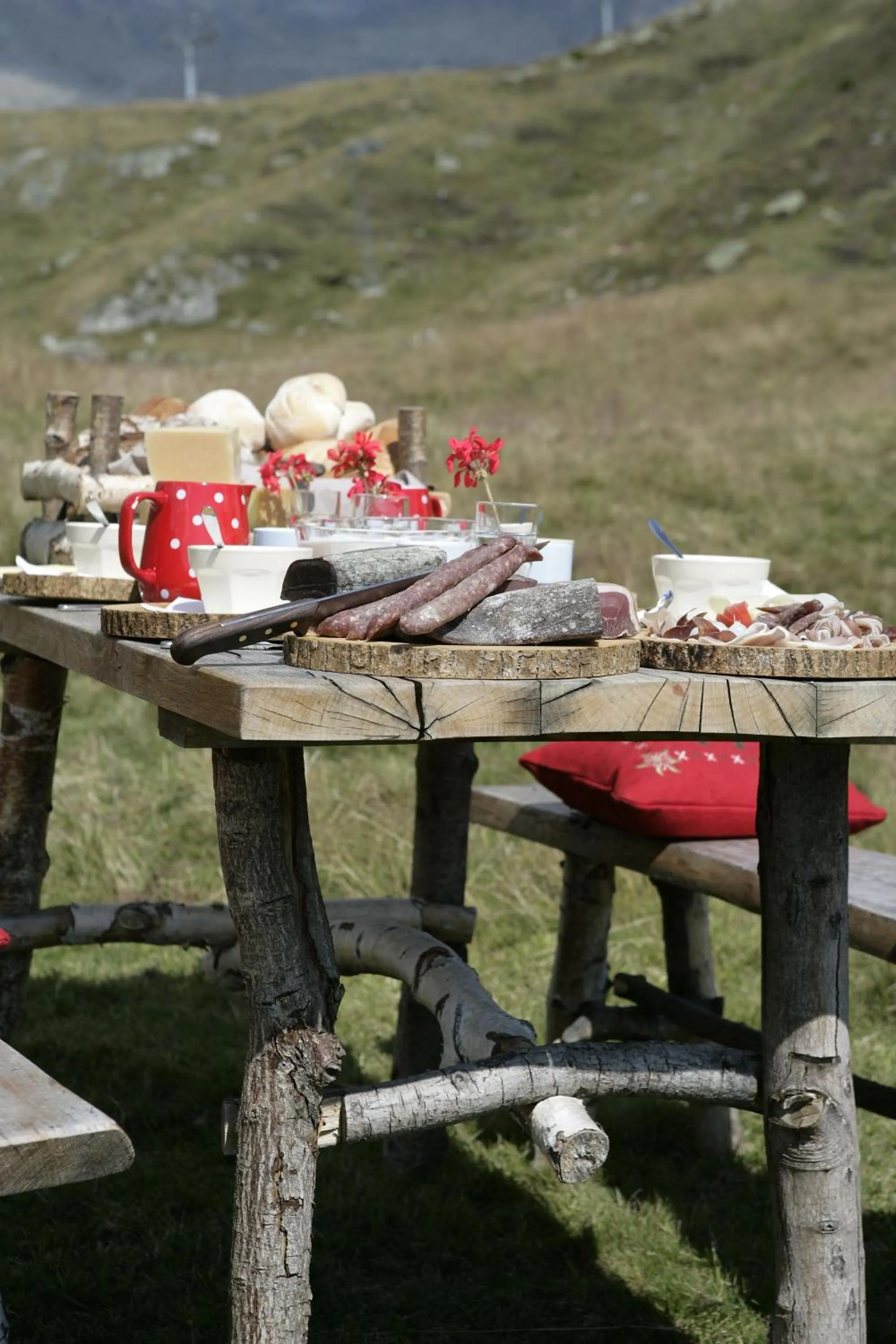 Garden in Hamilton Lodge & Spa