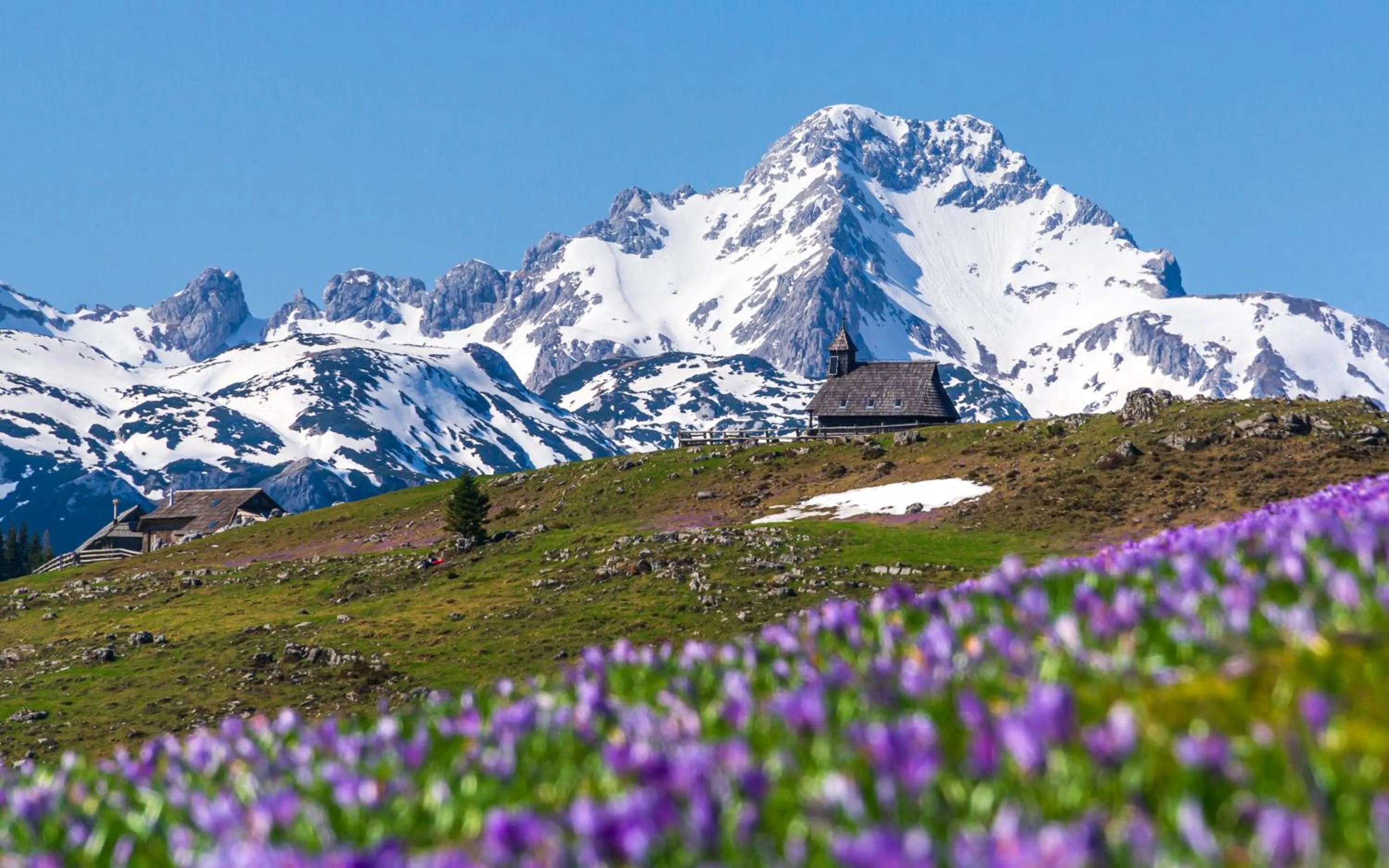 Koča Zlatorog - Velika planina
