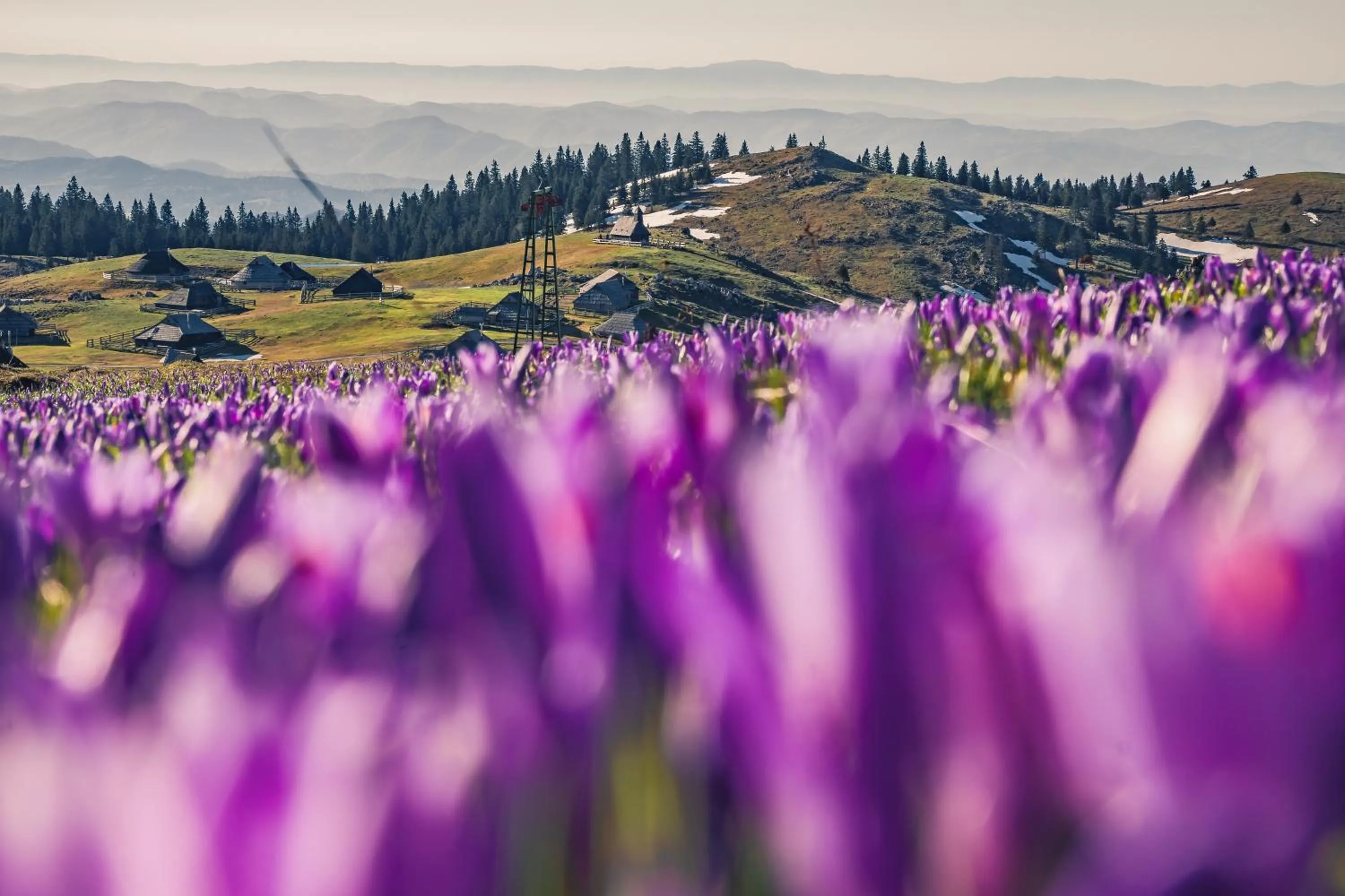 Koča Zlatorog - Velika planina
