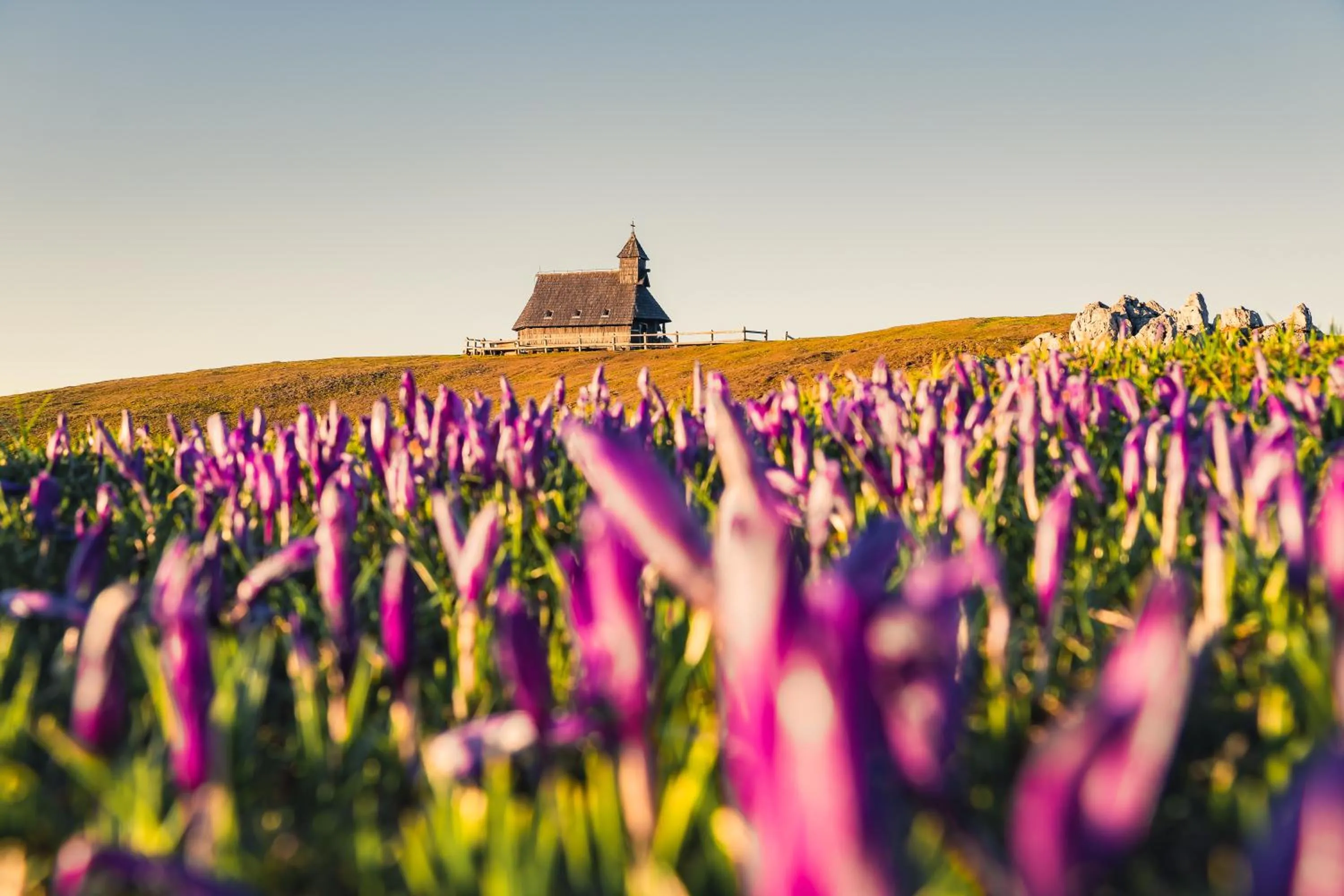 Koča Zlatorog - Velika planina
