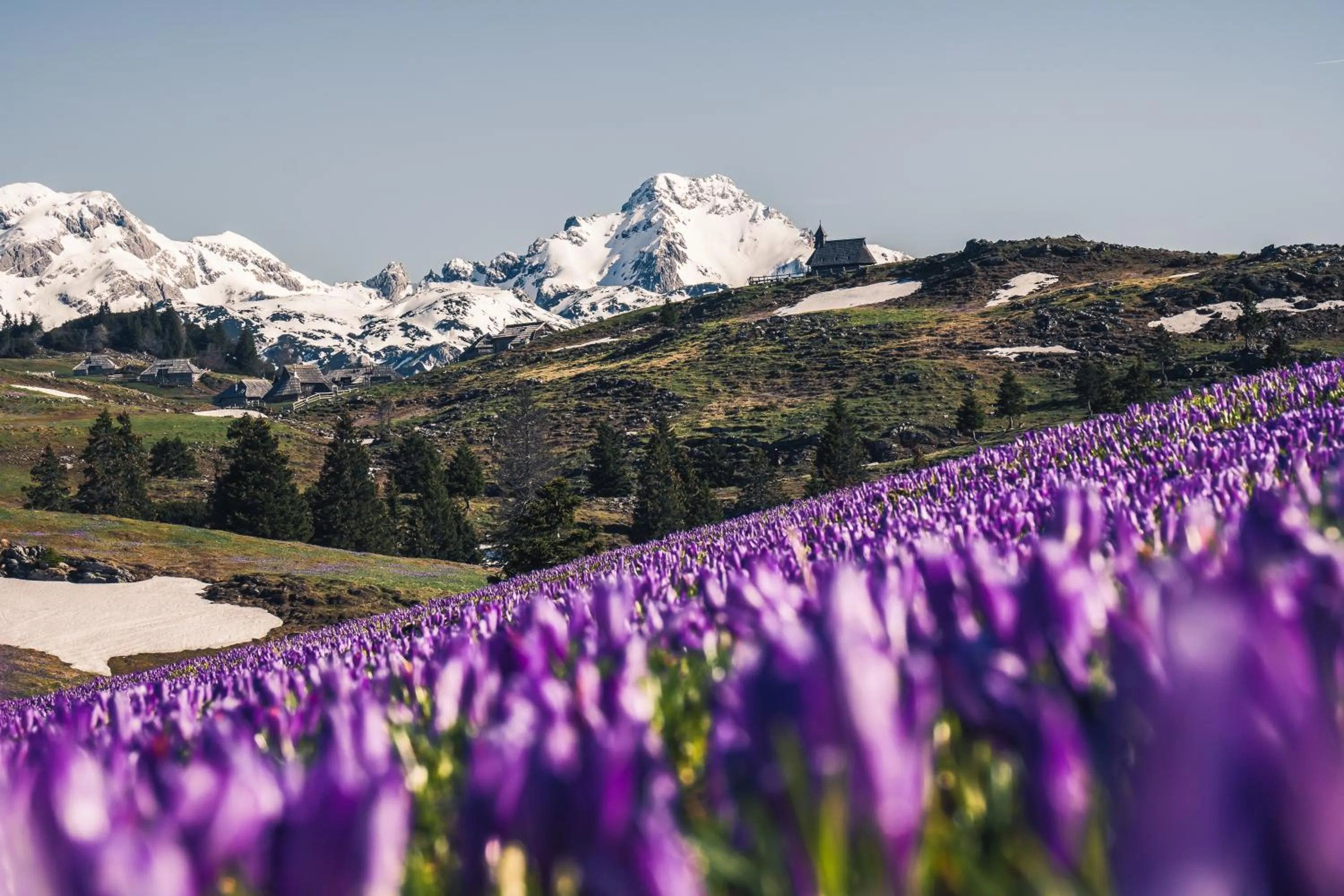 Koča Zlatorog - Velika planina