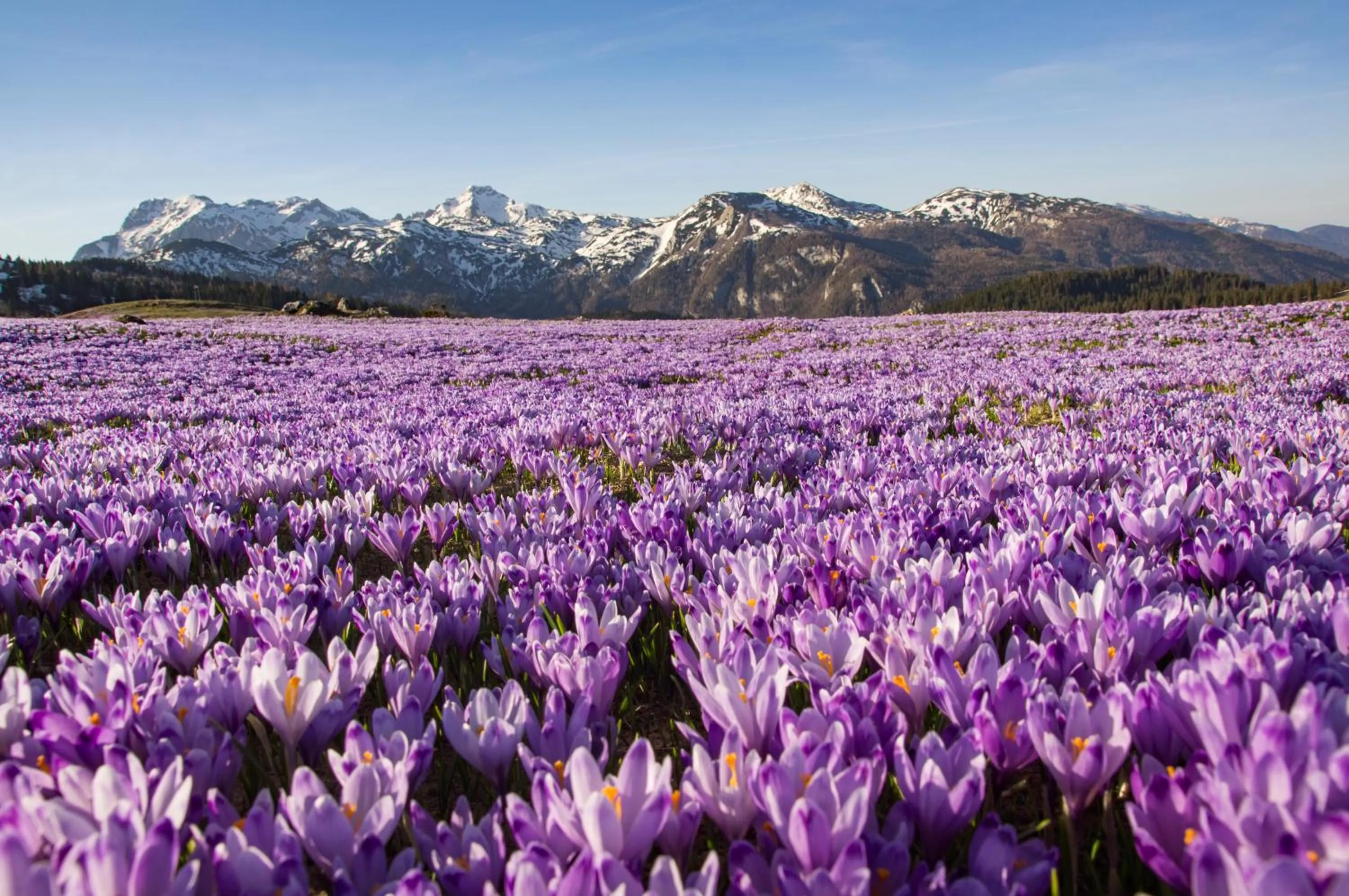 Koča Zlatorog - Velika planina