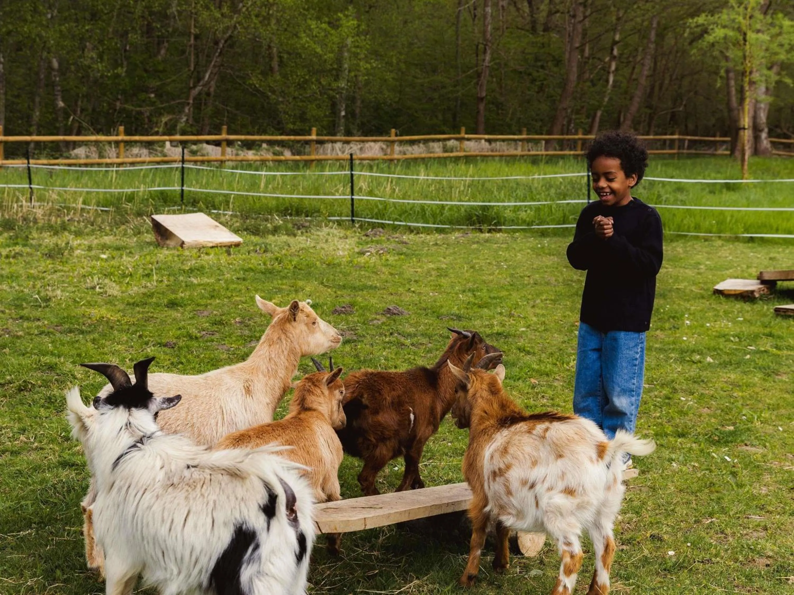 Activities in Abbaye Des Vaux De Cernay