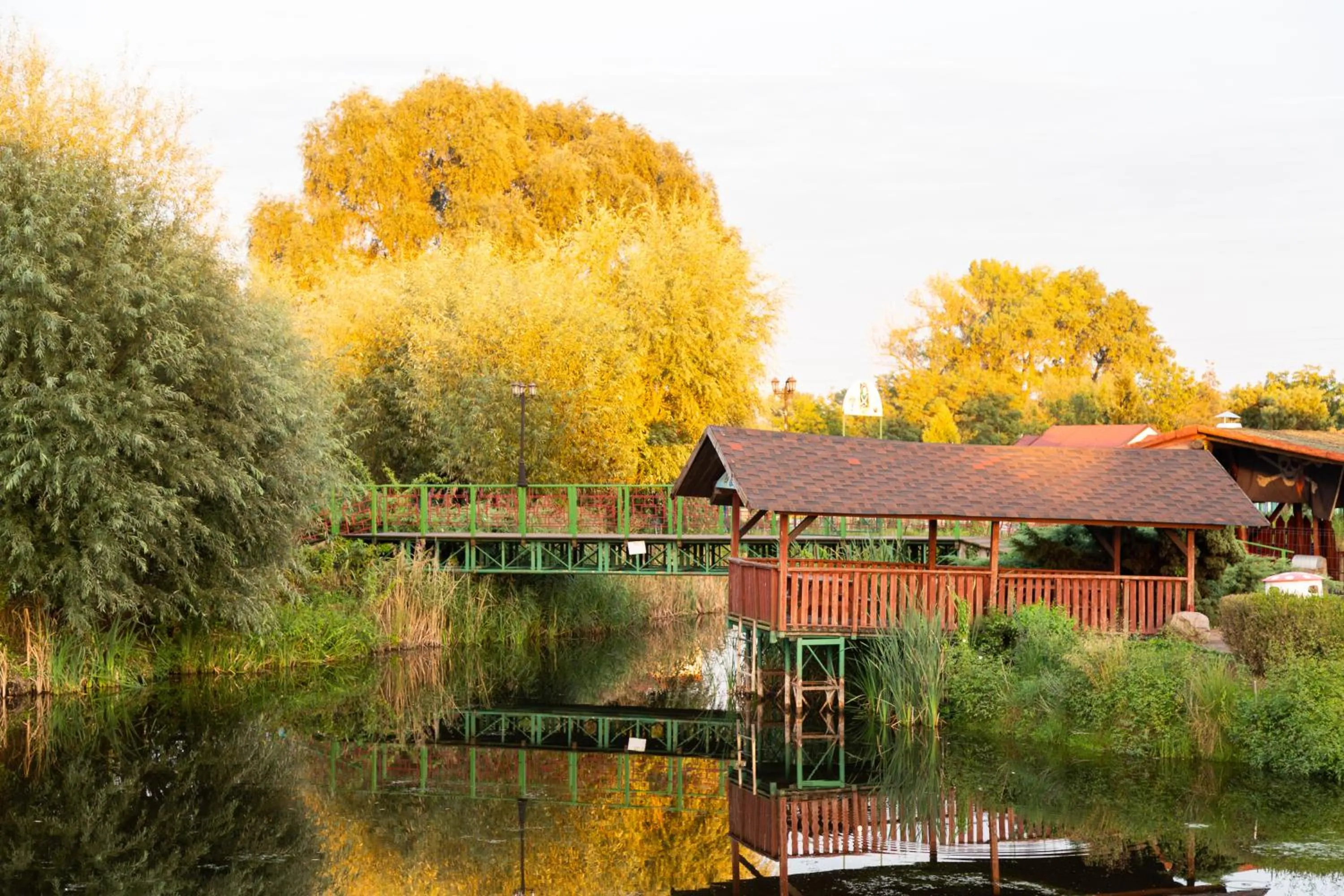 Natural landscape in Hotel Nenufar