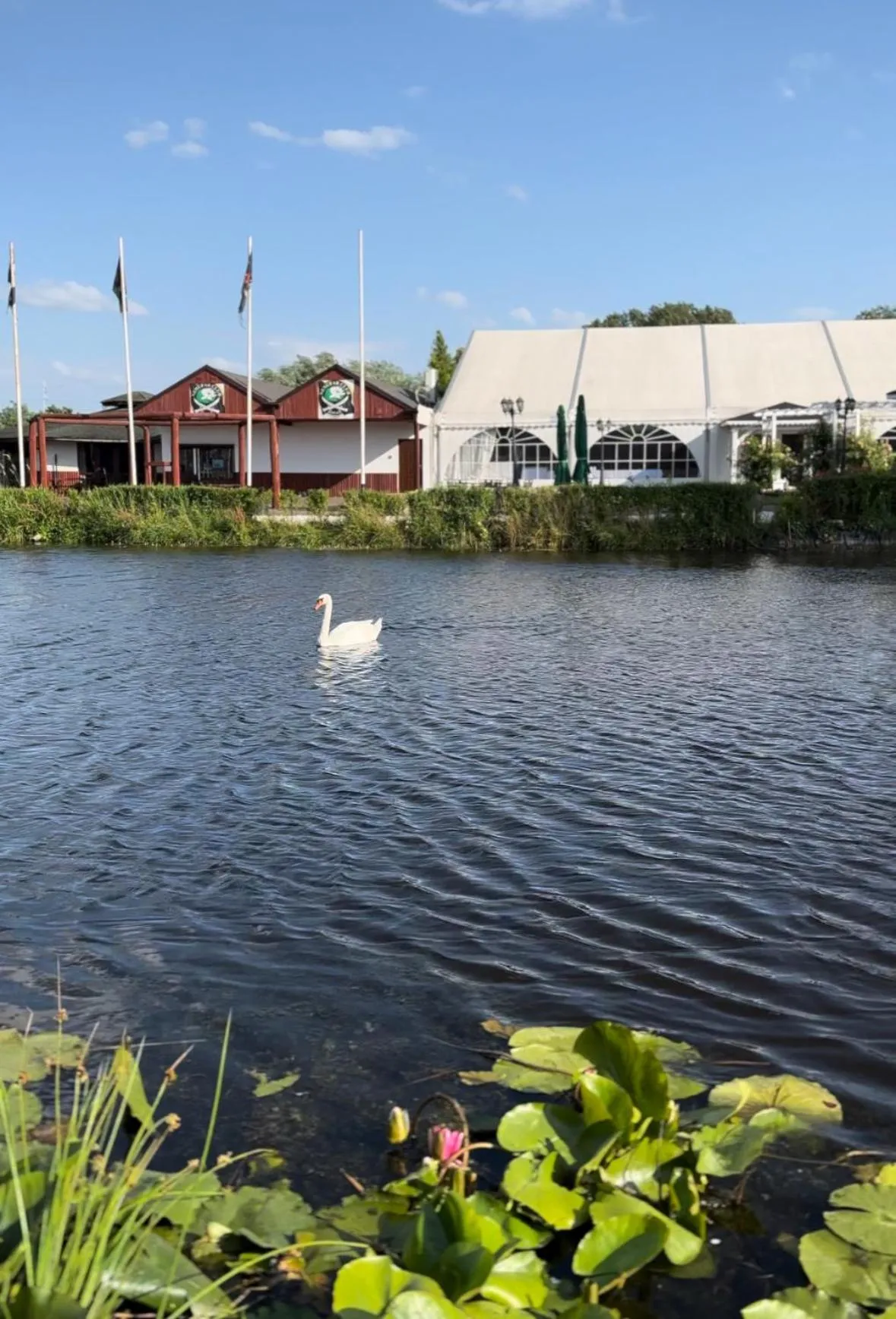 Natural landscape in Hotel Nenufar
