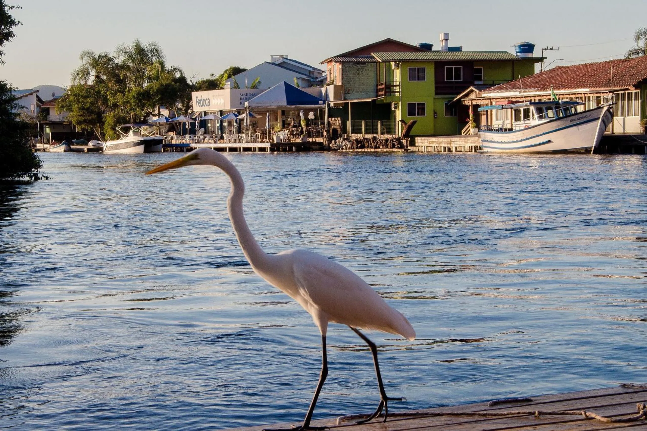Lake view in Pousada Quinta da Margem