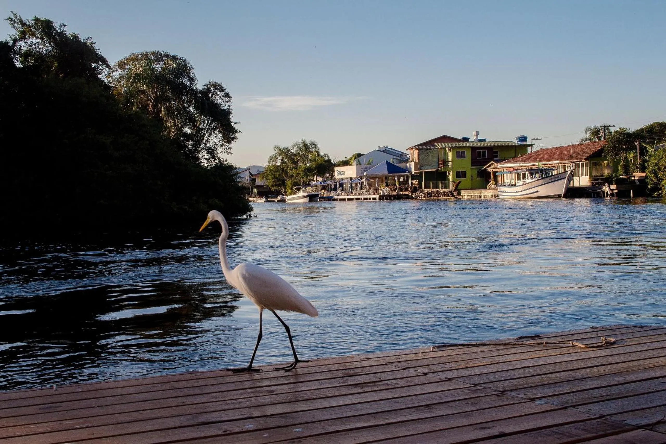 Lake view in Pousada Quinta da Margem