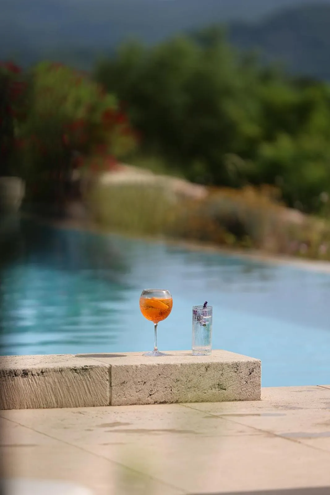 Château Les Oliviers de Salettes