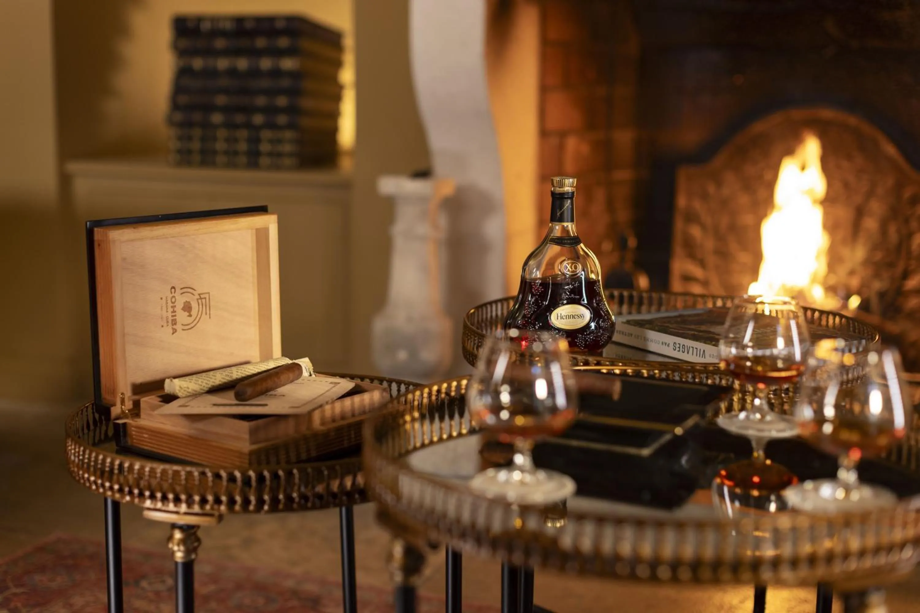 Alcoholic drinks in Château Les Oliviers de Salettes