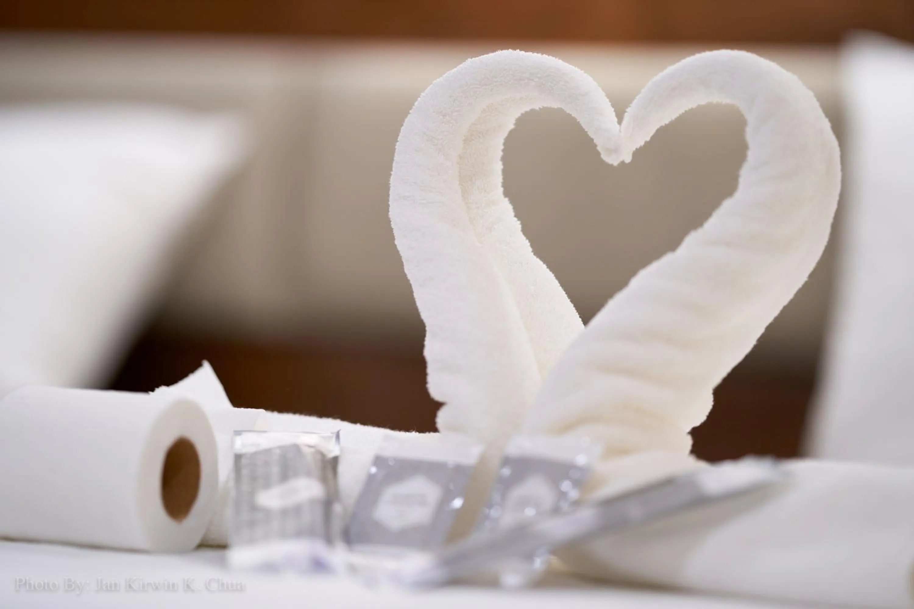 Decorative detail in Griffin Hotel and Suites