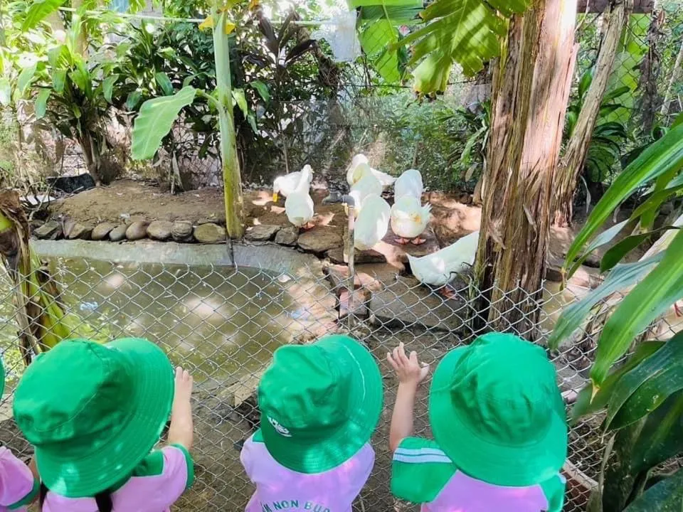 Garden in Hue Lotus Homestay