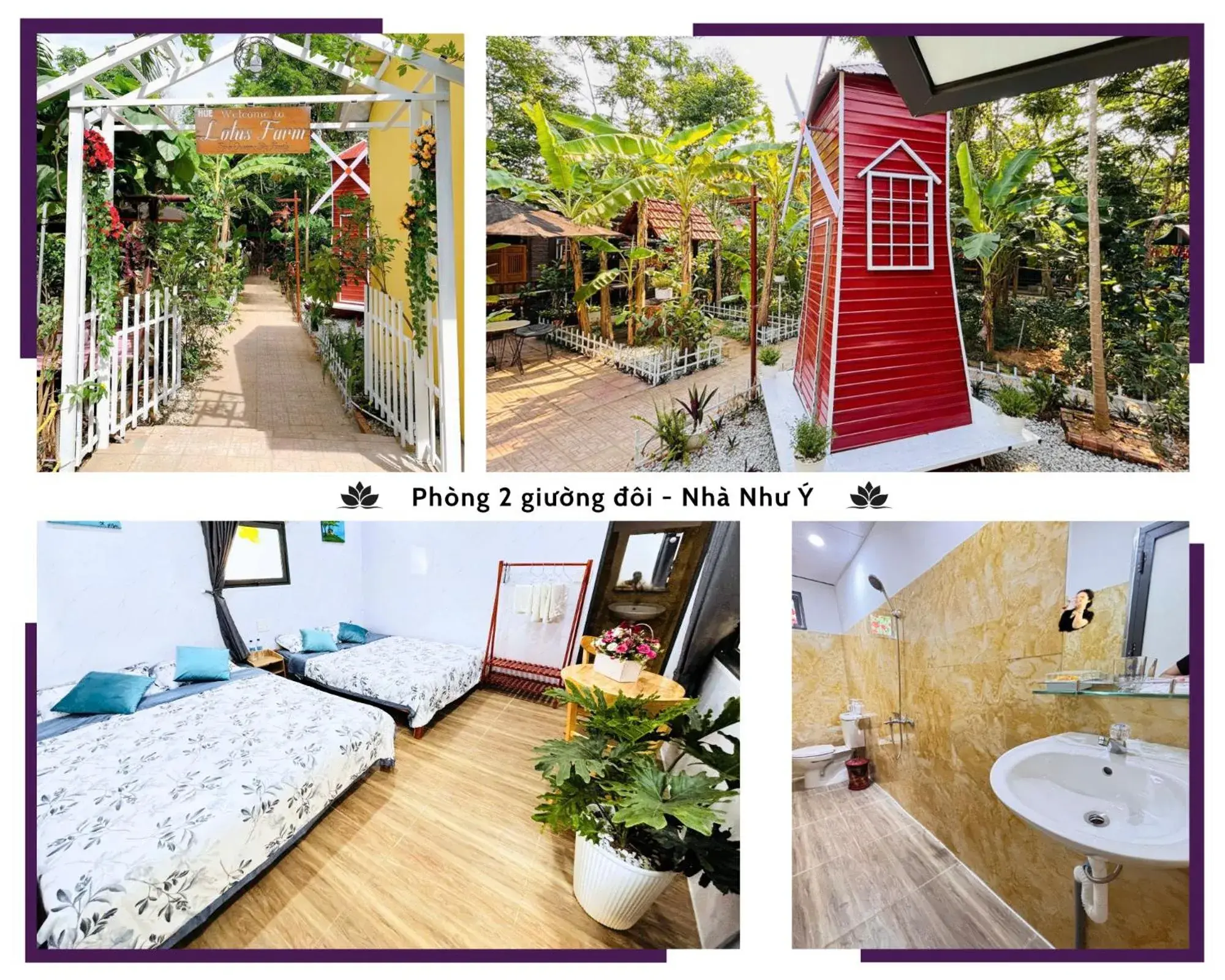 Hue Lotus Homestay Hue Lotus Homestay