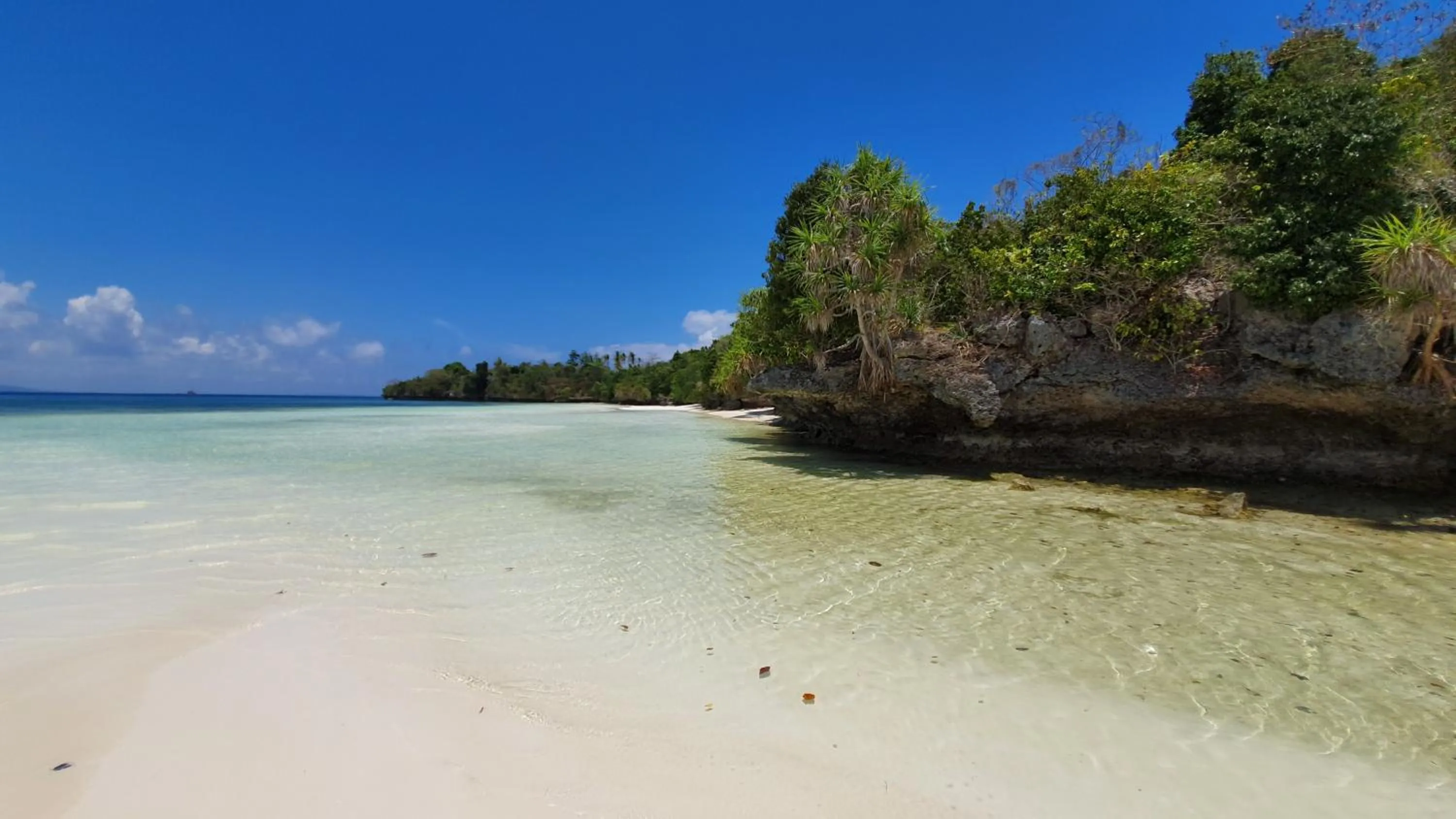 Beach in Marind Dive Eco Resort Wakatobi