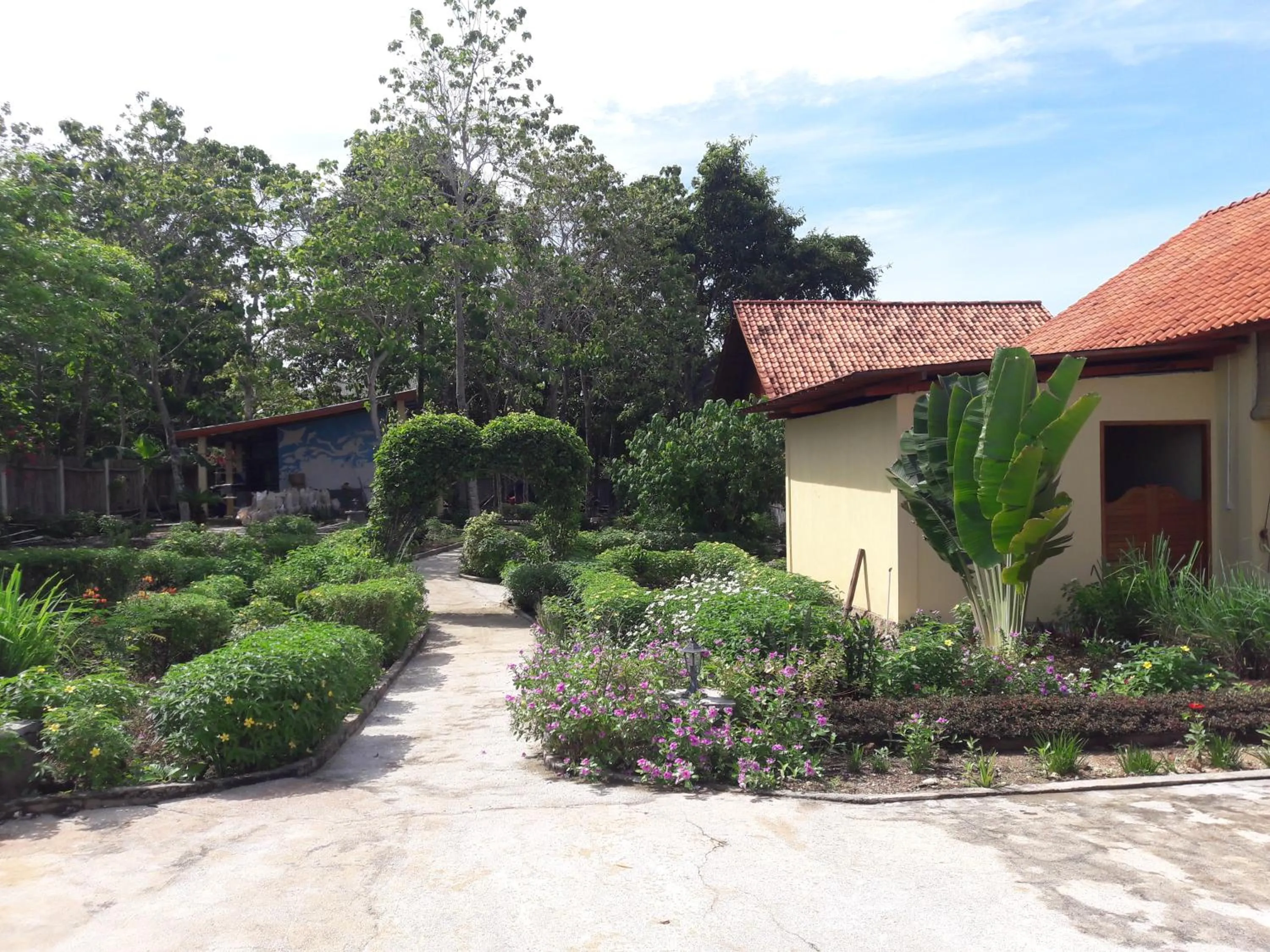 Garden in Marind Dive Eco Resort Wakatobi