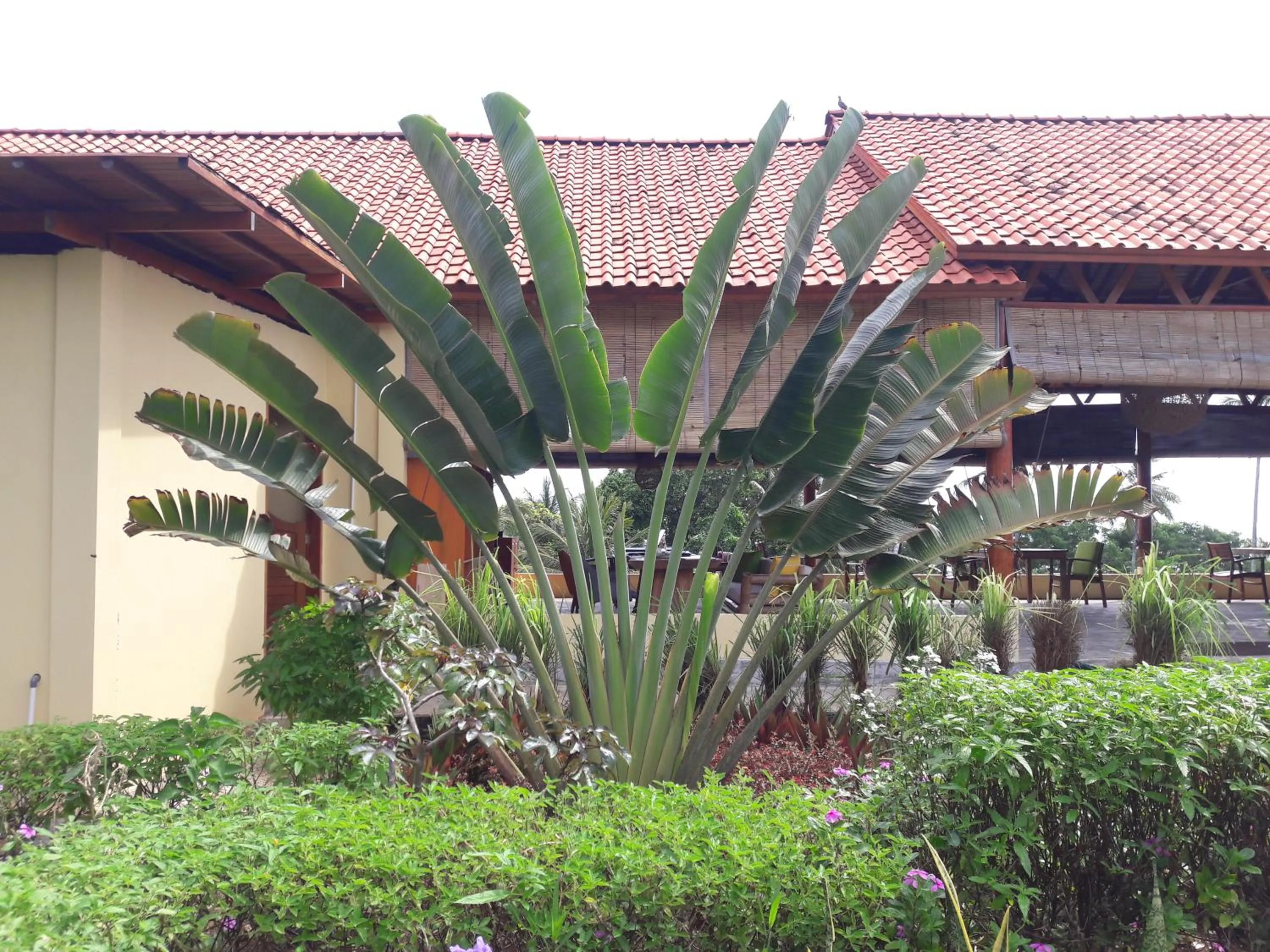 Garden in Marind Dive Eco Resort Wakatobi