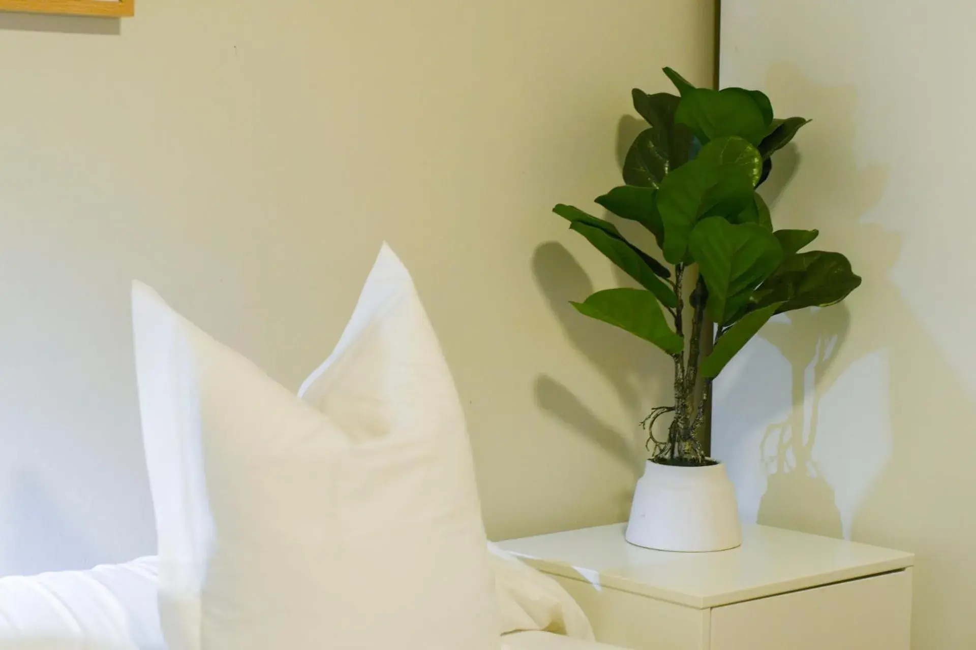 Single Room in Hotel Celta Single Room in Hotel Celta