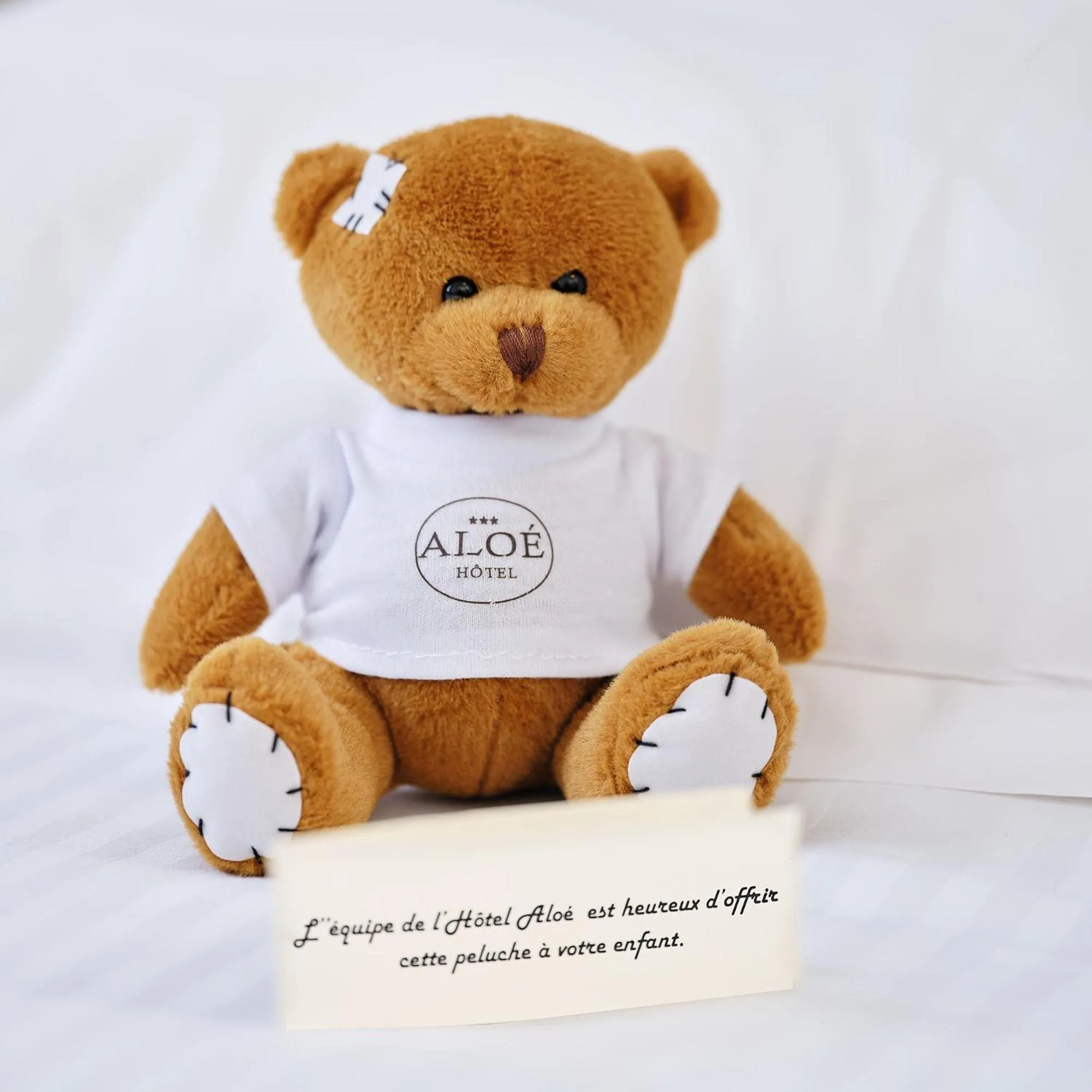 Logis Hôtel Restaurant Aloe