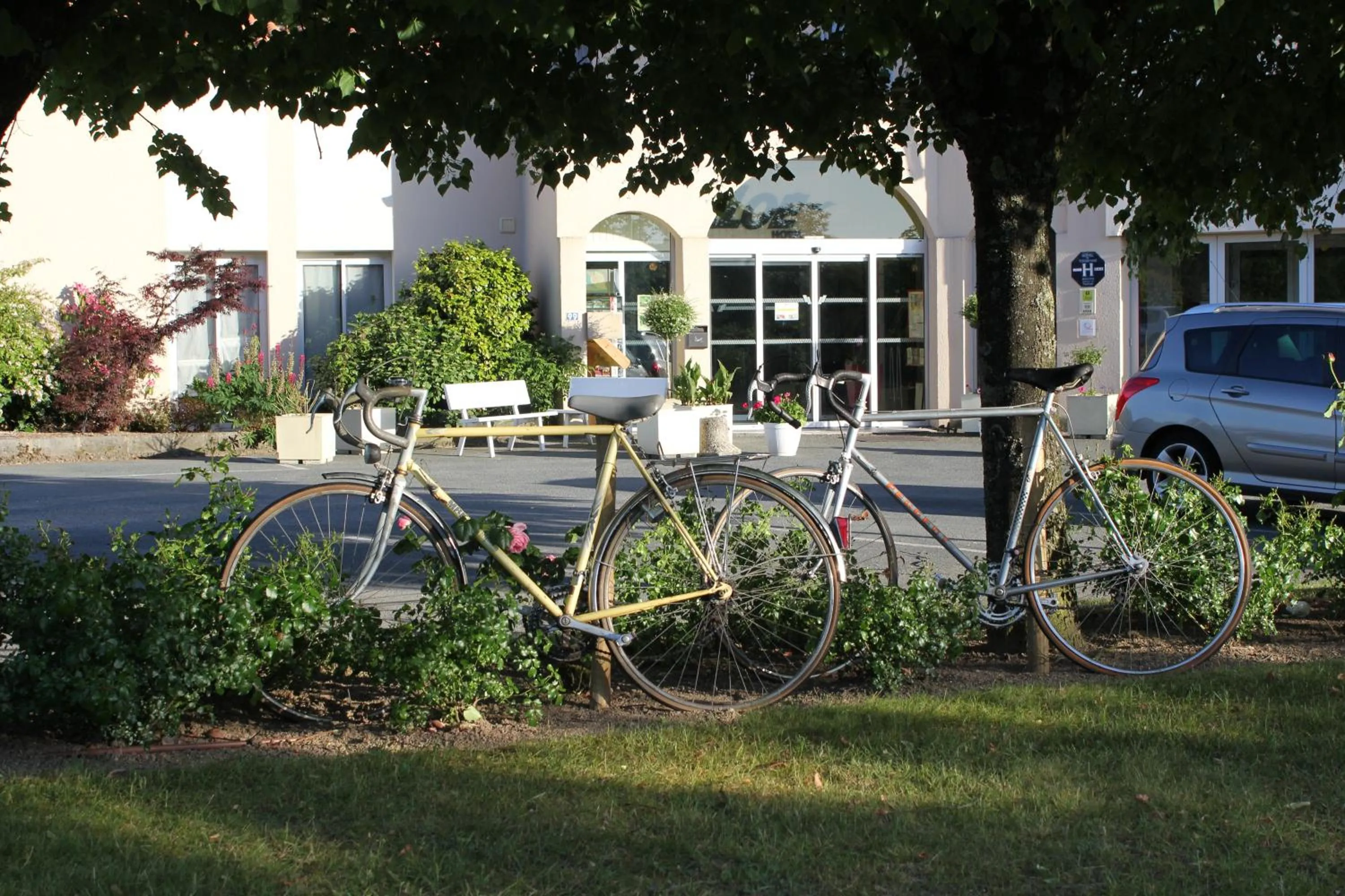 Garden in Logis Hôtel Restaurant Aloe
