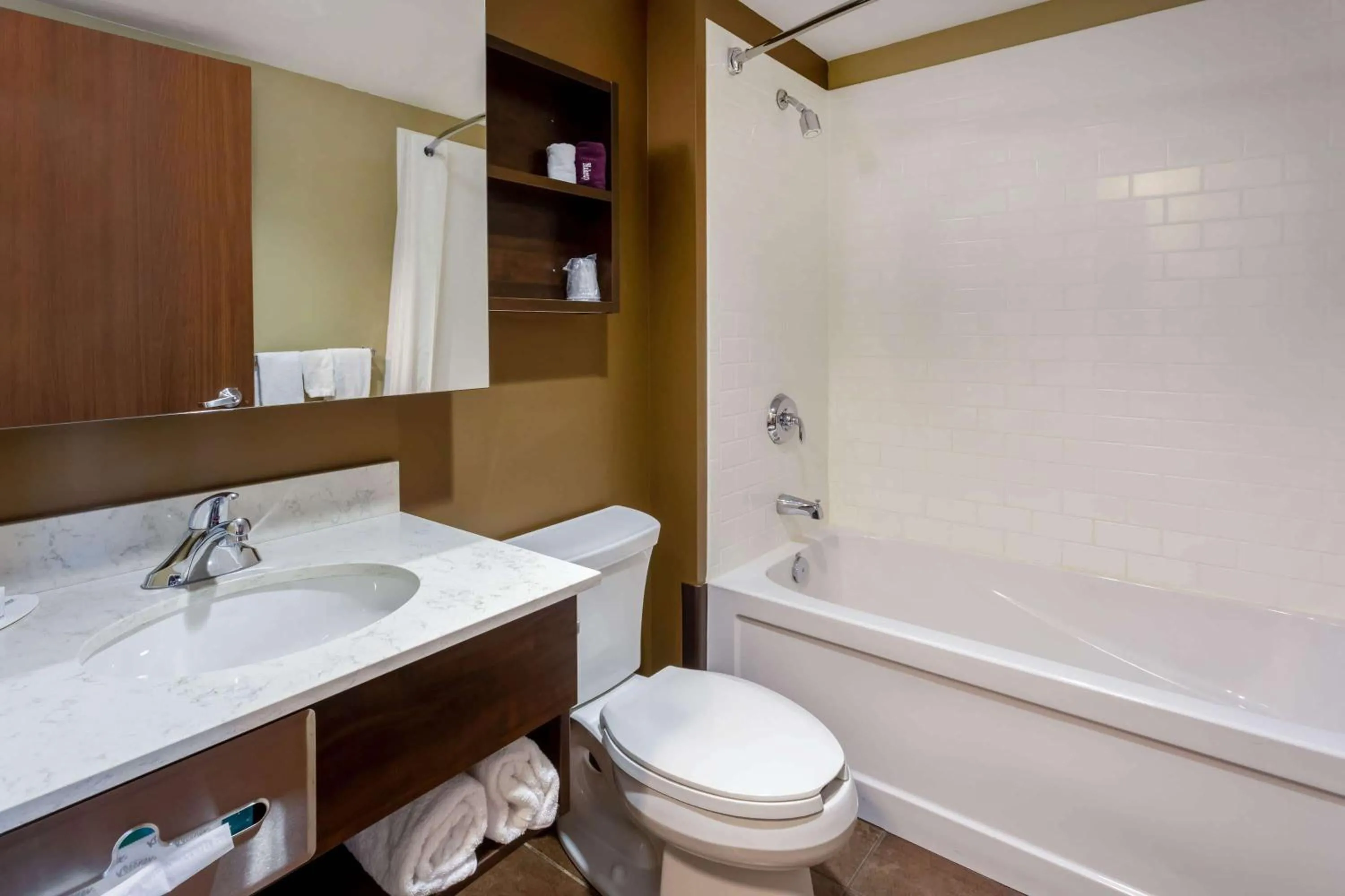 Bathroom in Microtel Inn & Suites by Wyndham - Timmins