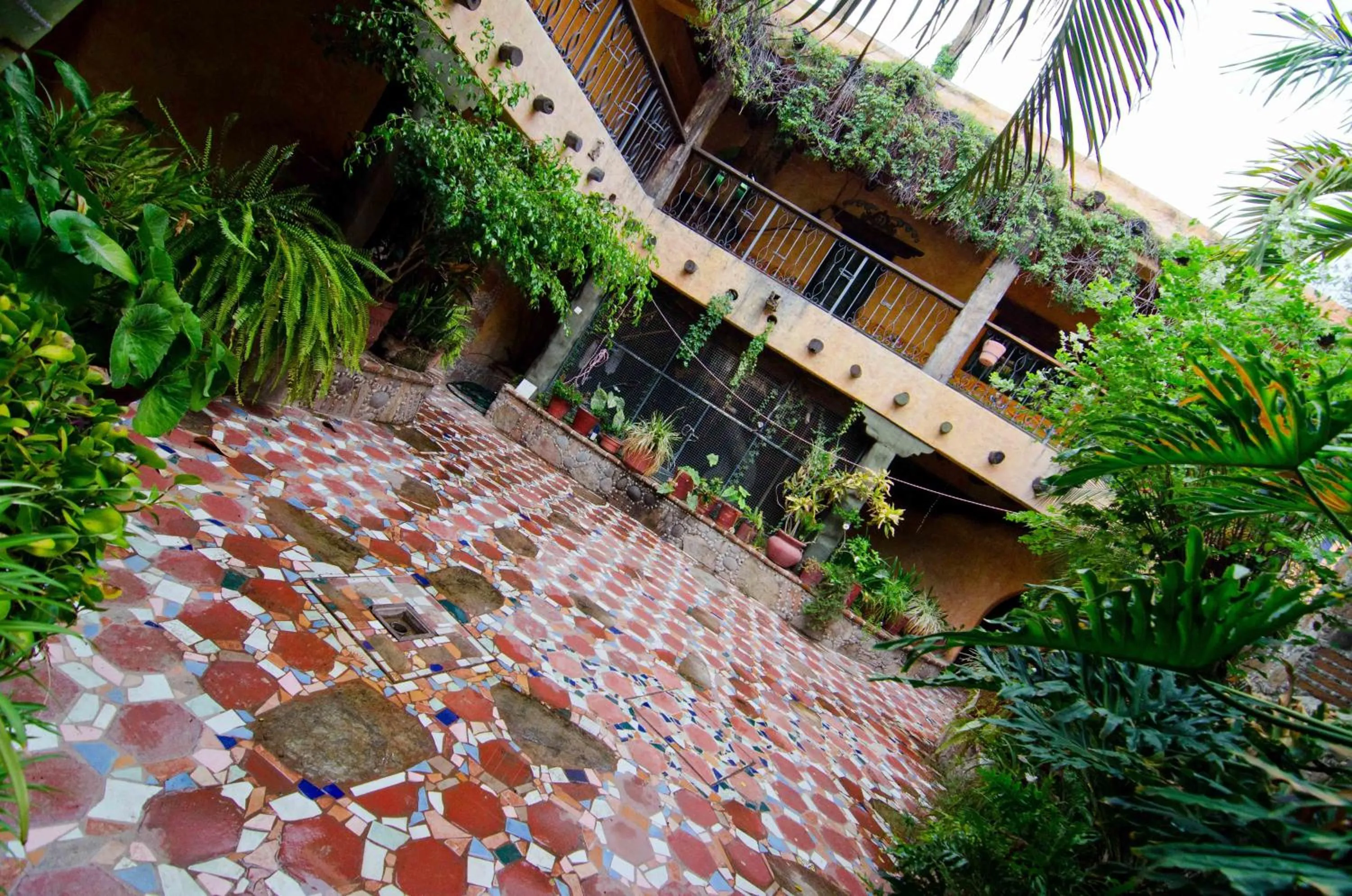 Patio in Hotel el Fuerte