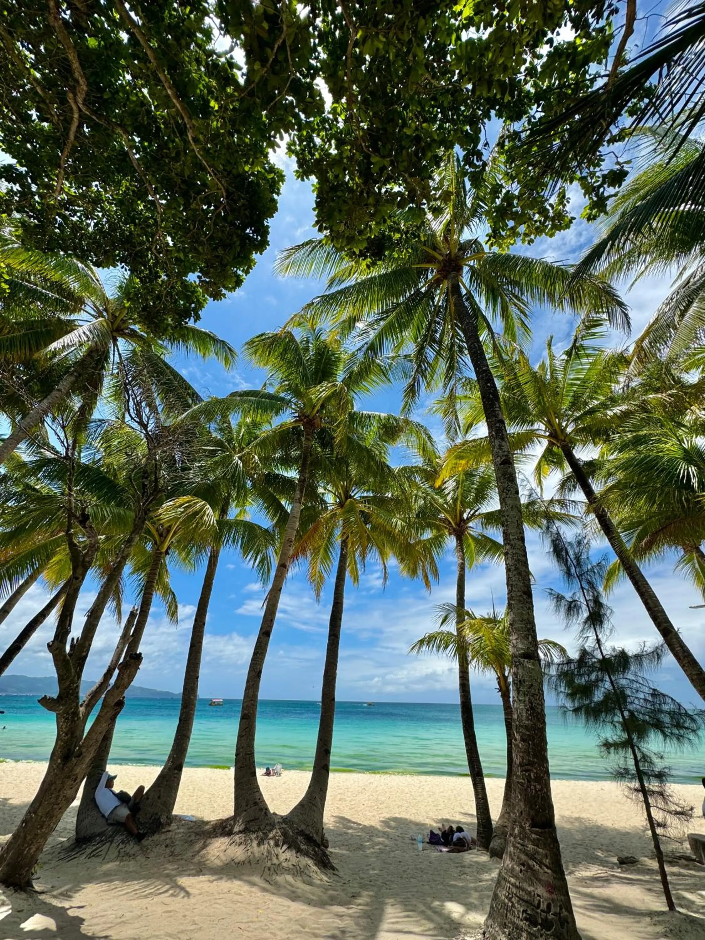 Beach in Casa Pilar Beach Resort