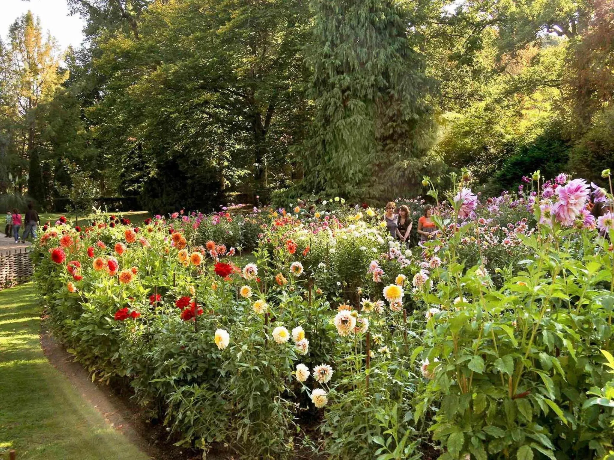 Other in ibis Orleans Centre Gare