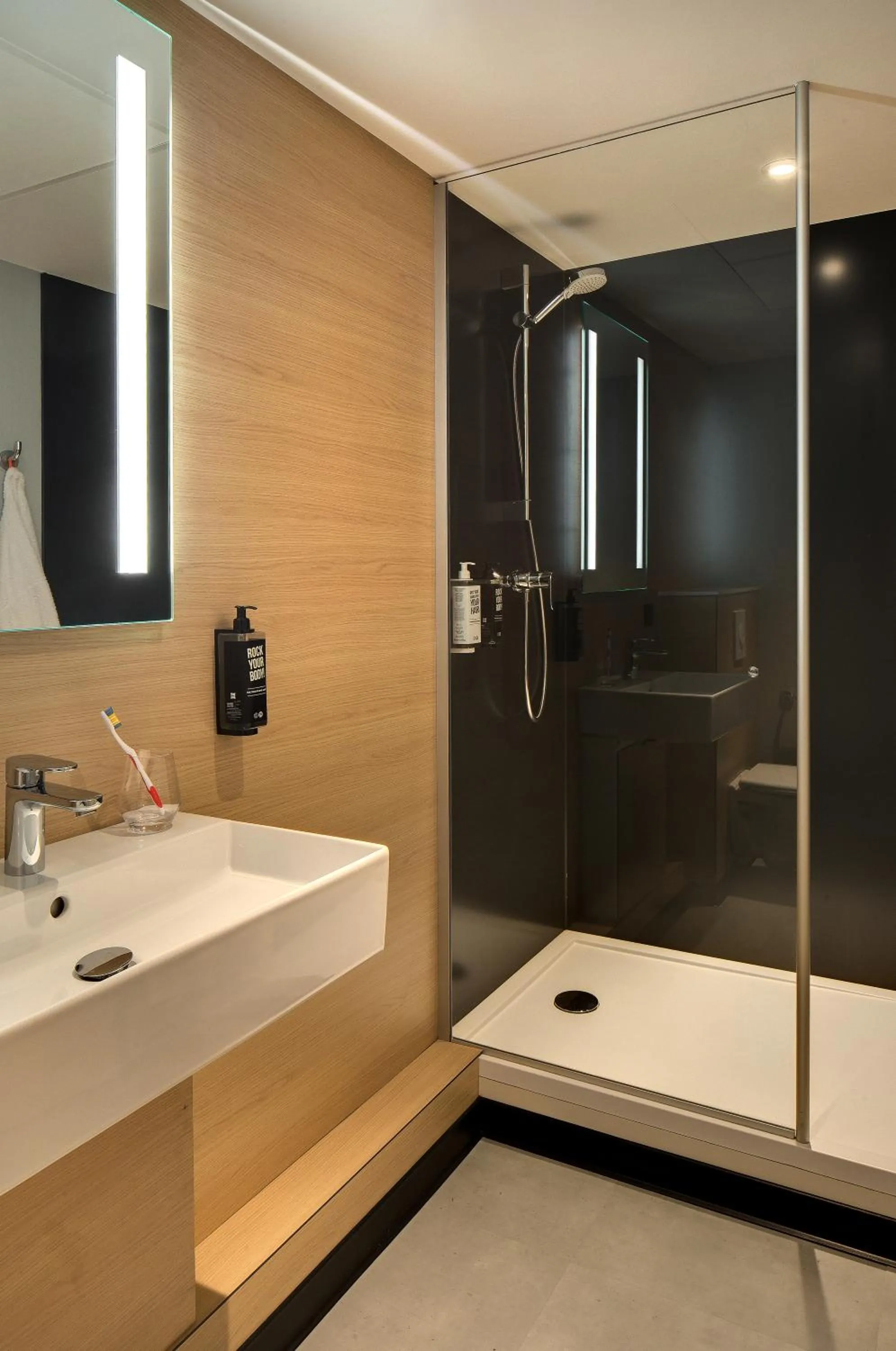 Bathroom in ibis Vichy