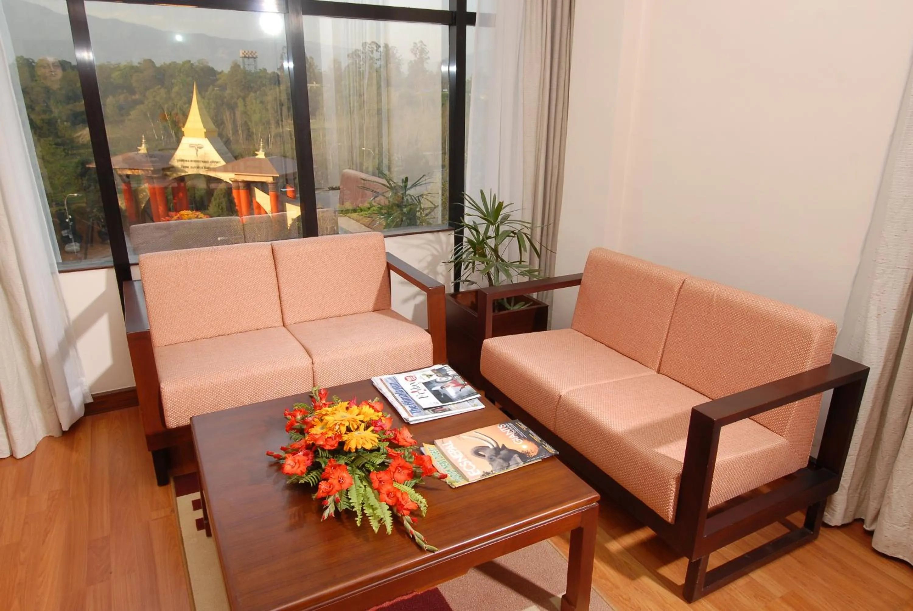 View (from property/room) in Airport Hotel Kathmandu - Near Pashupatinath Temple