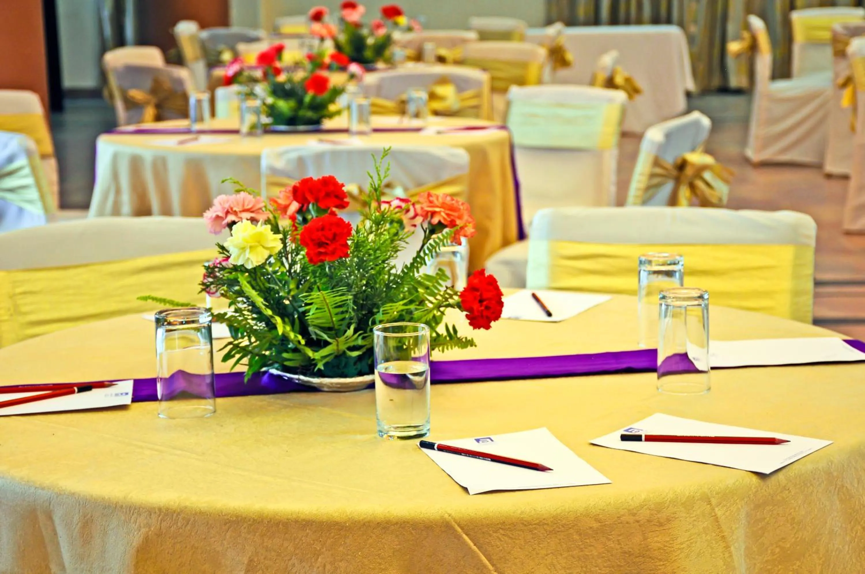 Meeting/conference room in Airport Hotel Kathmandu - Near Pashupatinath Temple