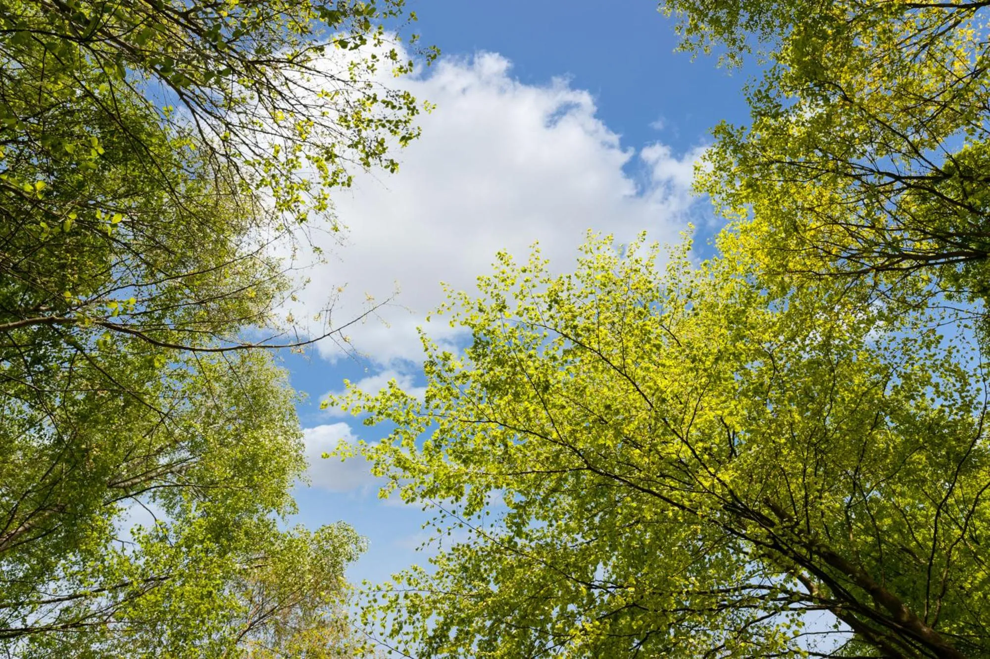 Hiking in The Originals City, Hôtel Éden, Rouen Nord